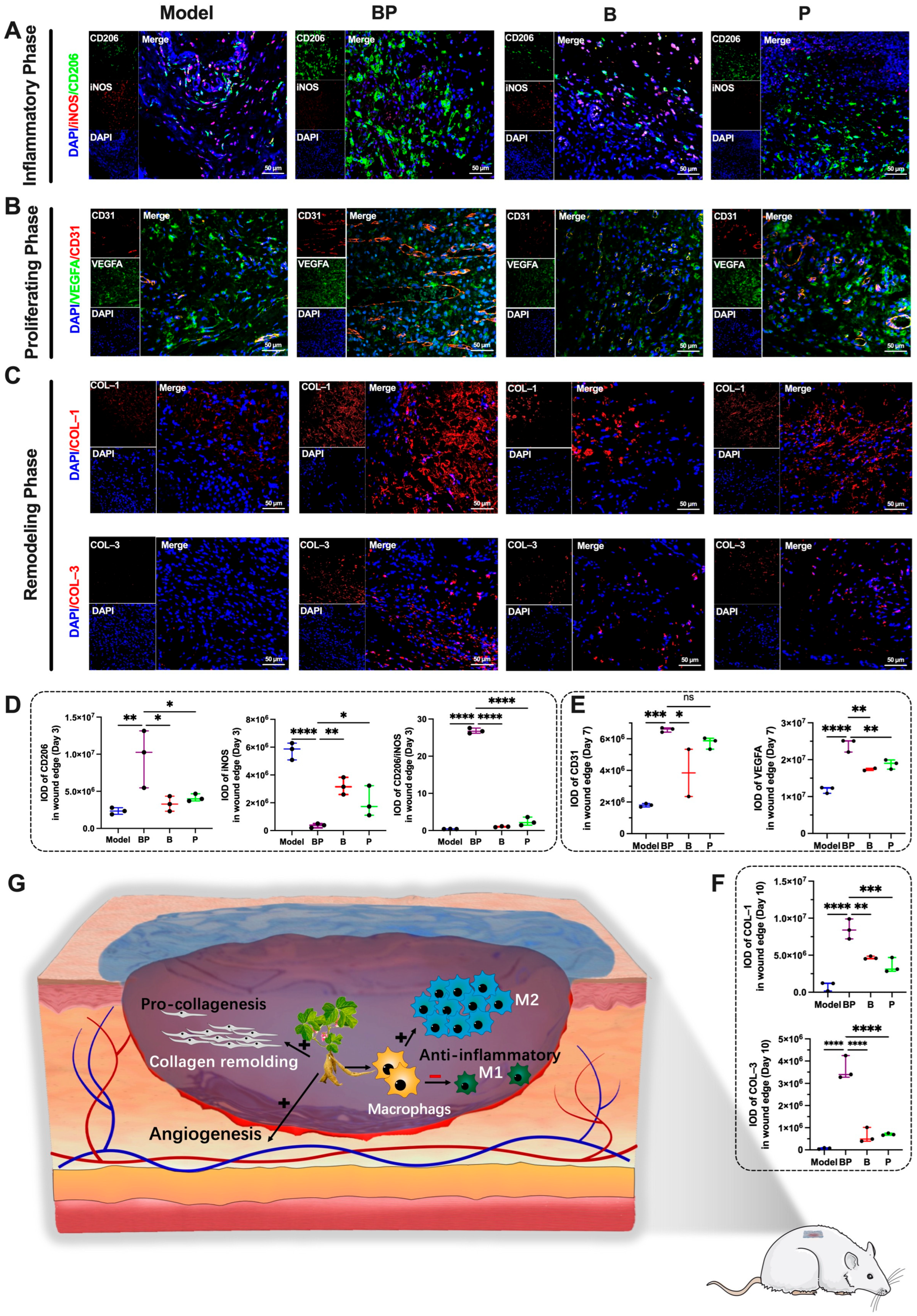 Bioengineering 12 00427 g006