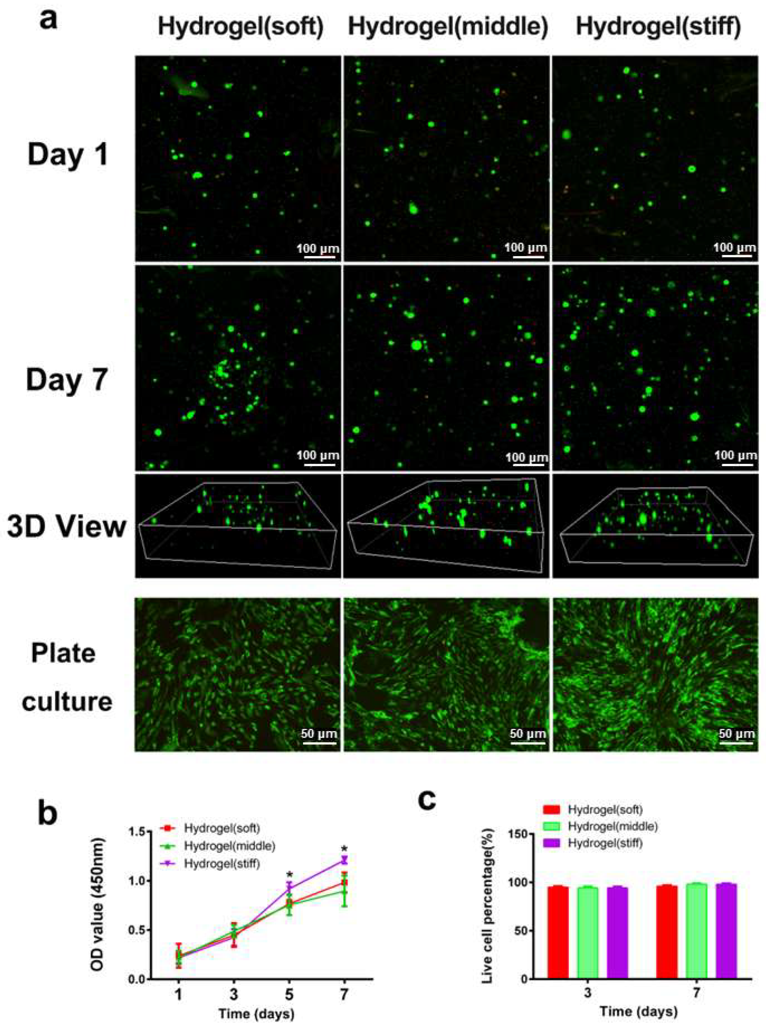 Bioengineering 12 00434 g003