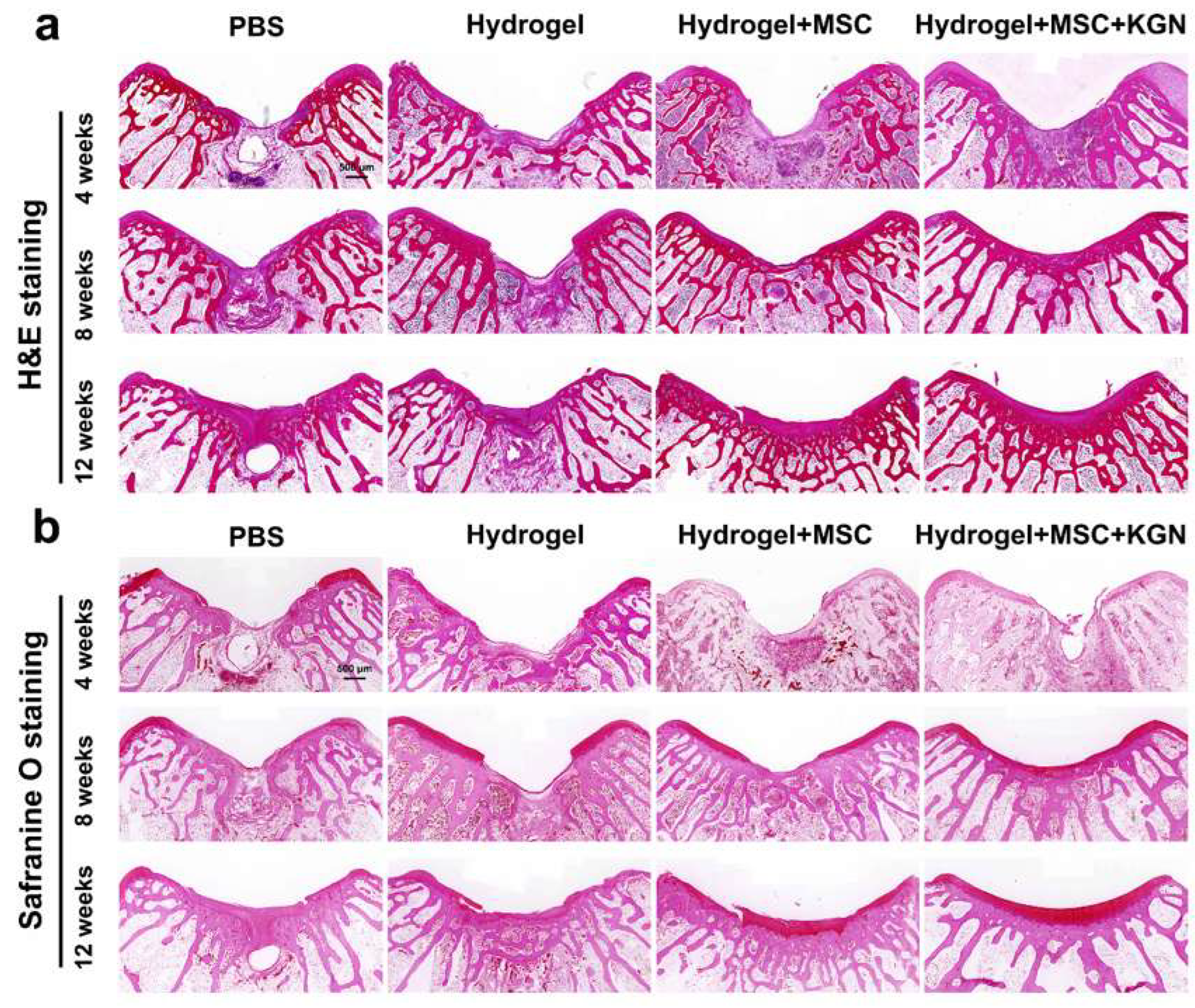 Bioengineering 12 00434 g007