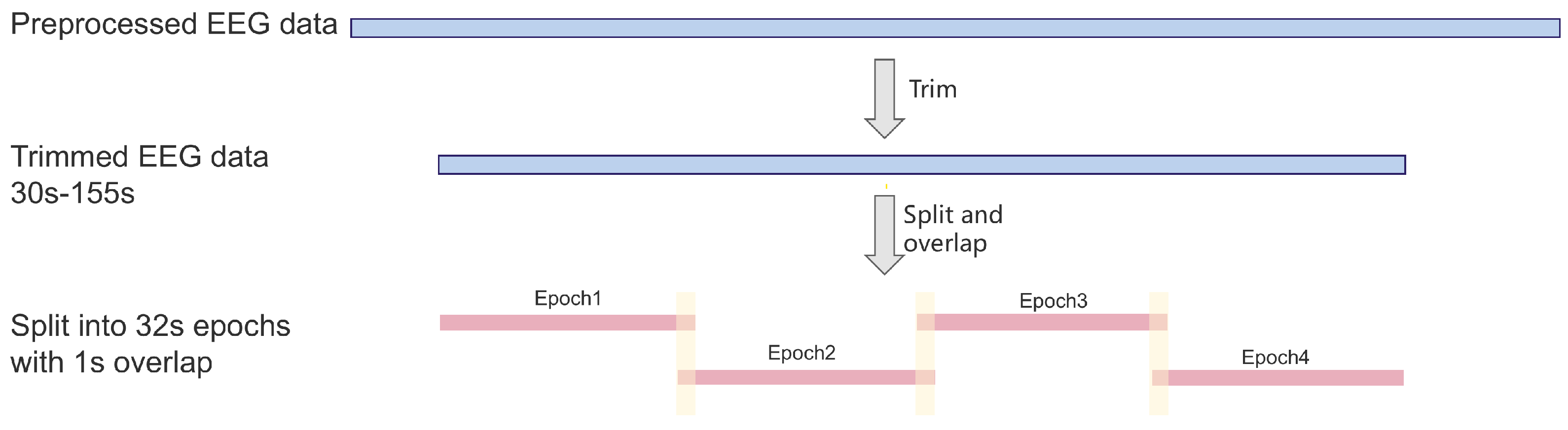 Bioengineering 12 00449 g002