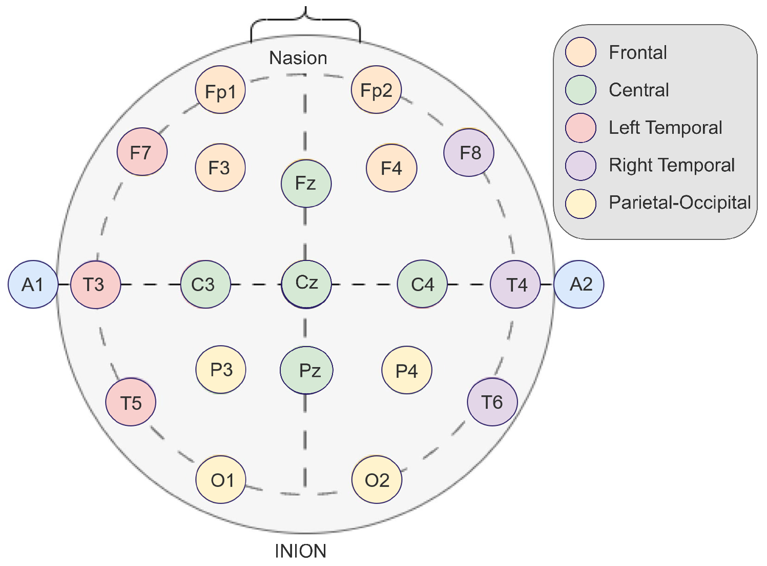 Bioengineering 12 00449 g003