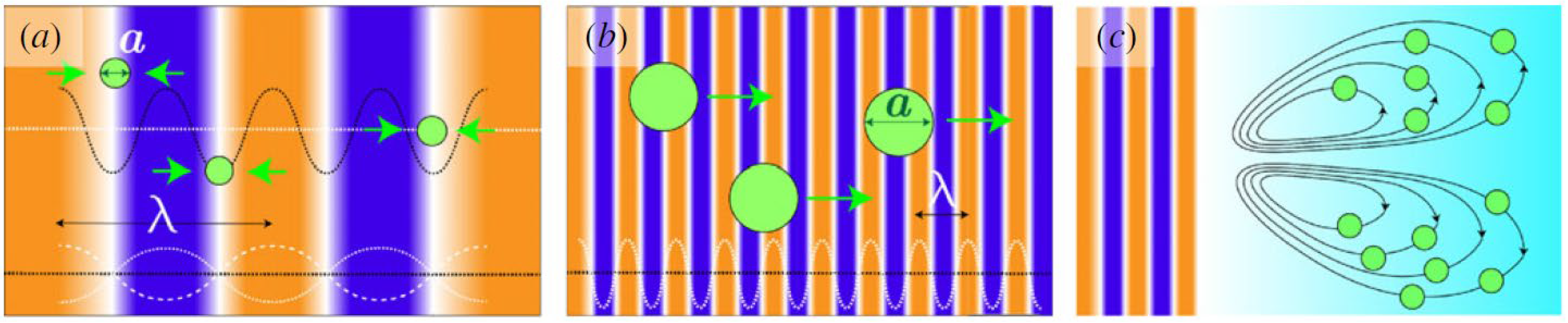 Bioengineering 12 00458 g001