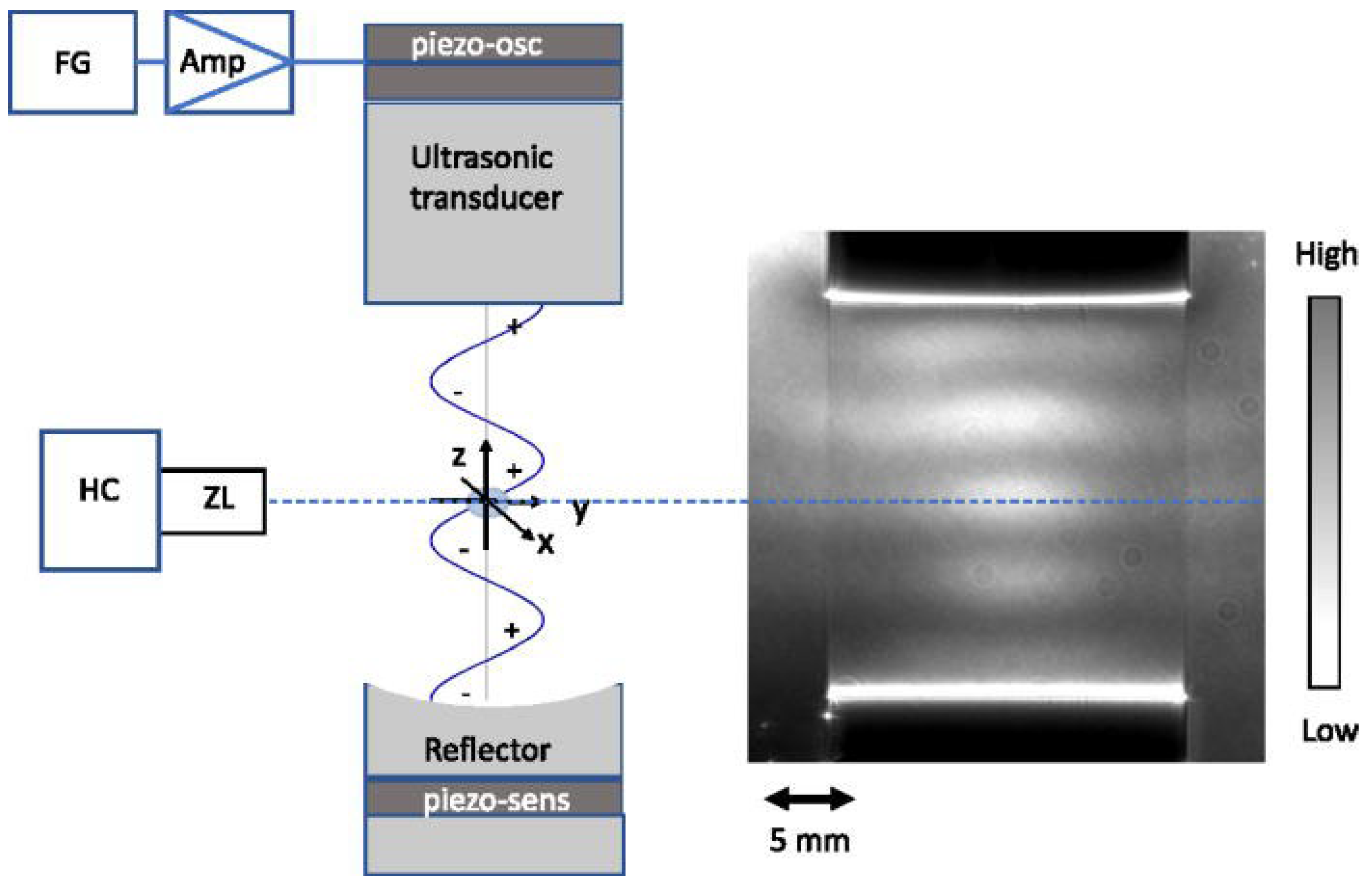 Bioengineering 12 00458 g003