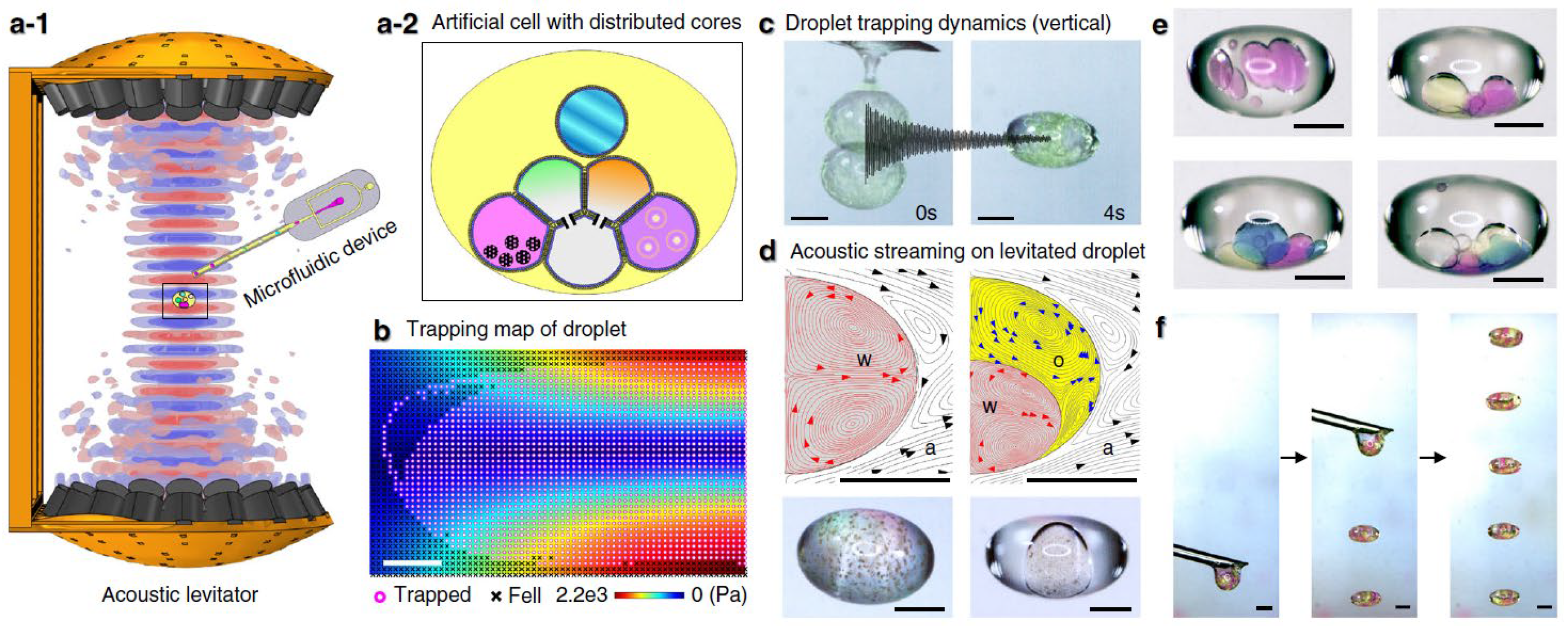 Bioengineering 12 00458 g006