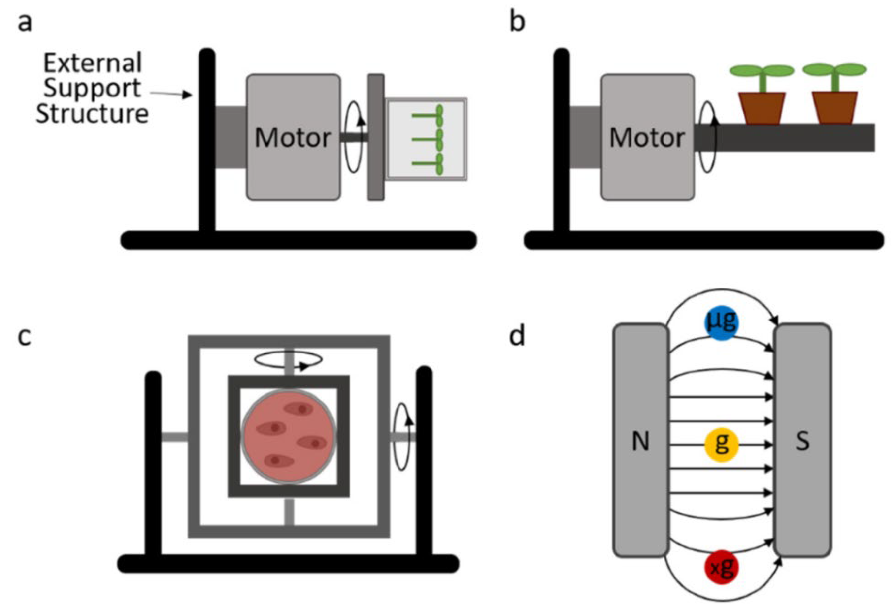 Bioengineering 12 00458 g007