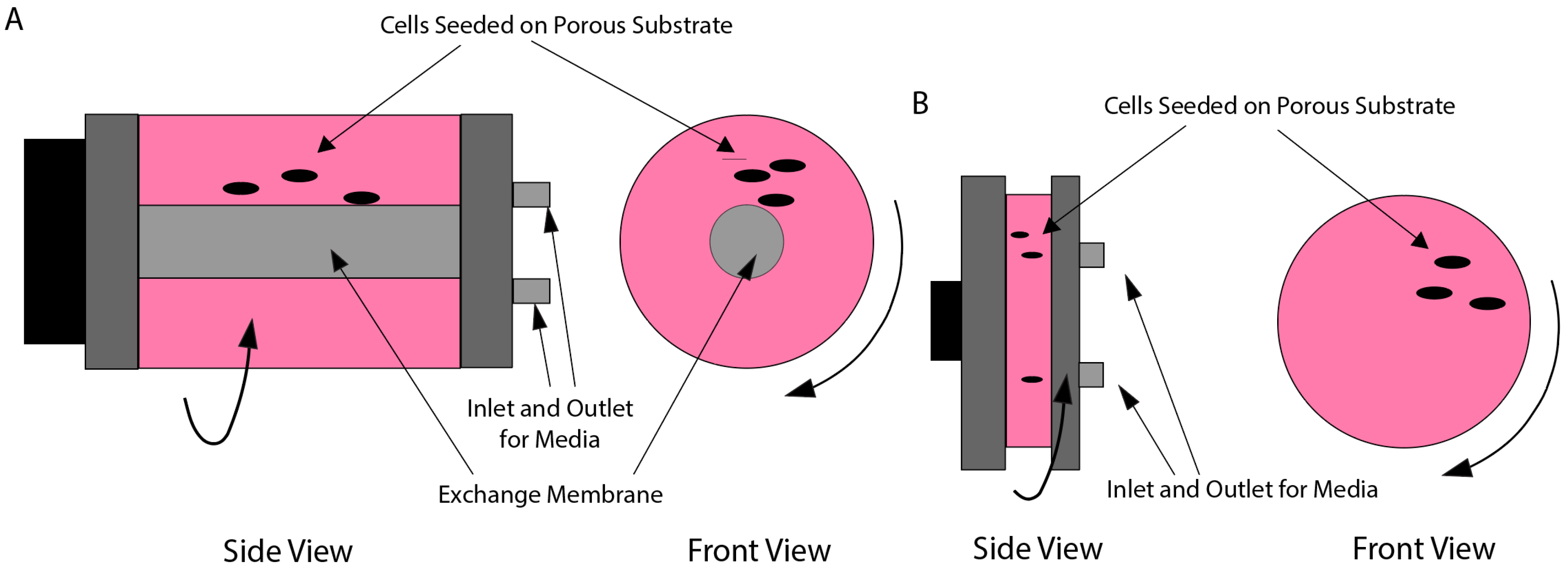 Bioengineering 12 00458 g009