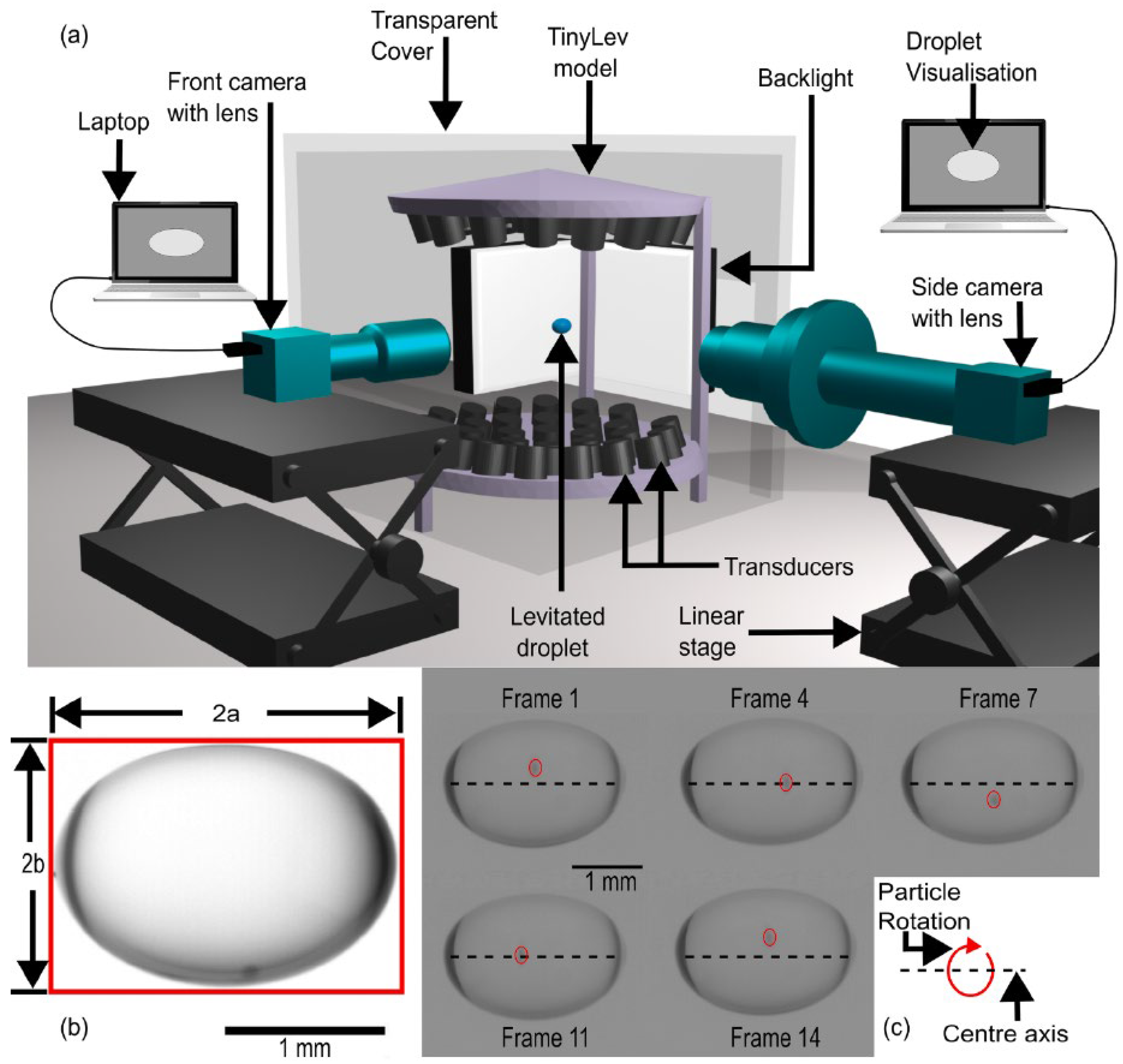 Bioengineering 12 00458 g010