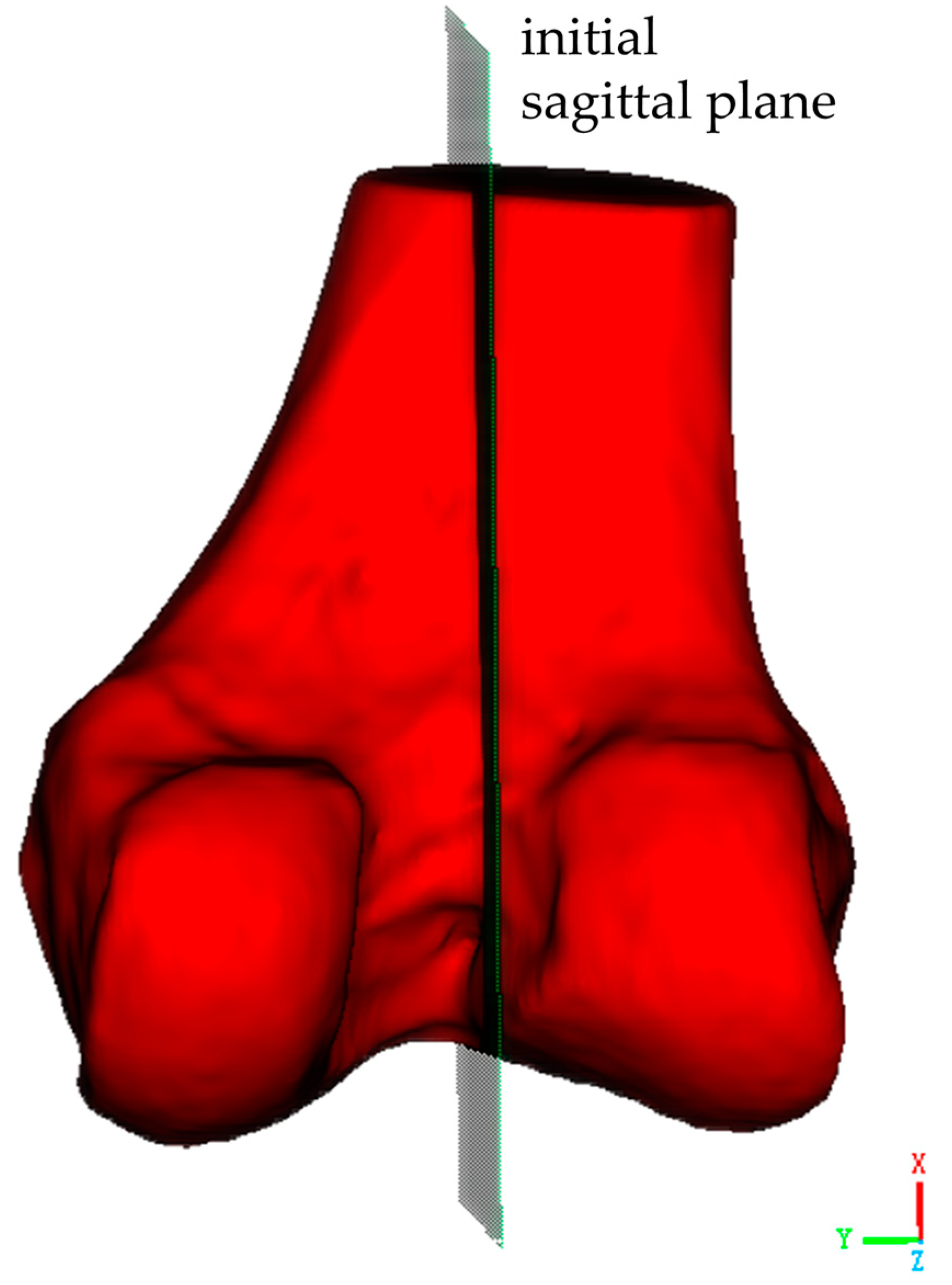 Bioengineering 12 00464 g003