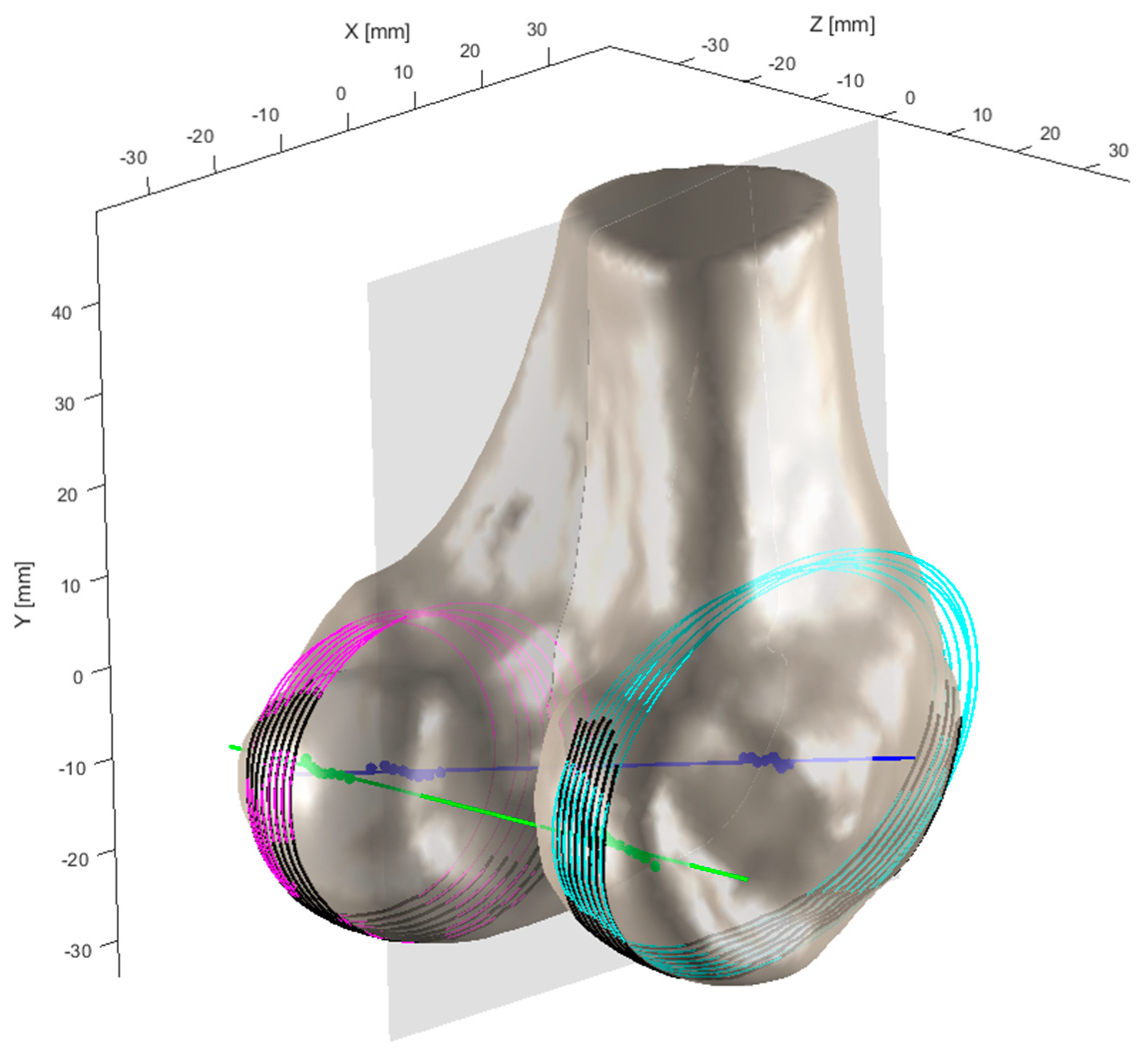 Bioengineering 12 00464 g006