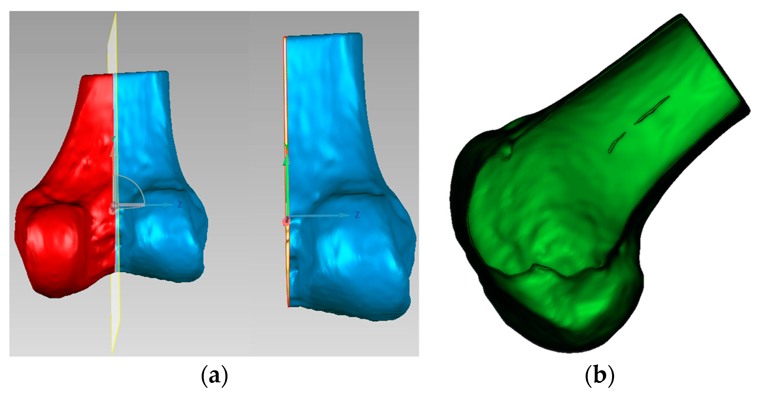 Bioengineering 12 00464 g008