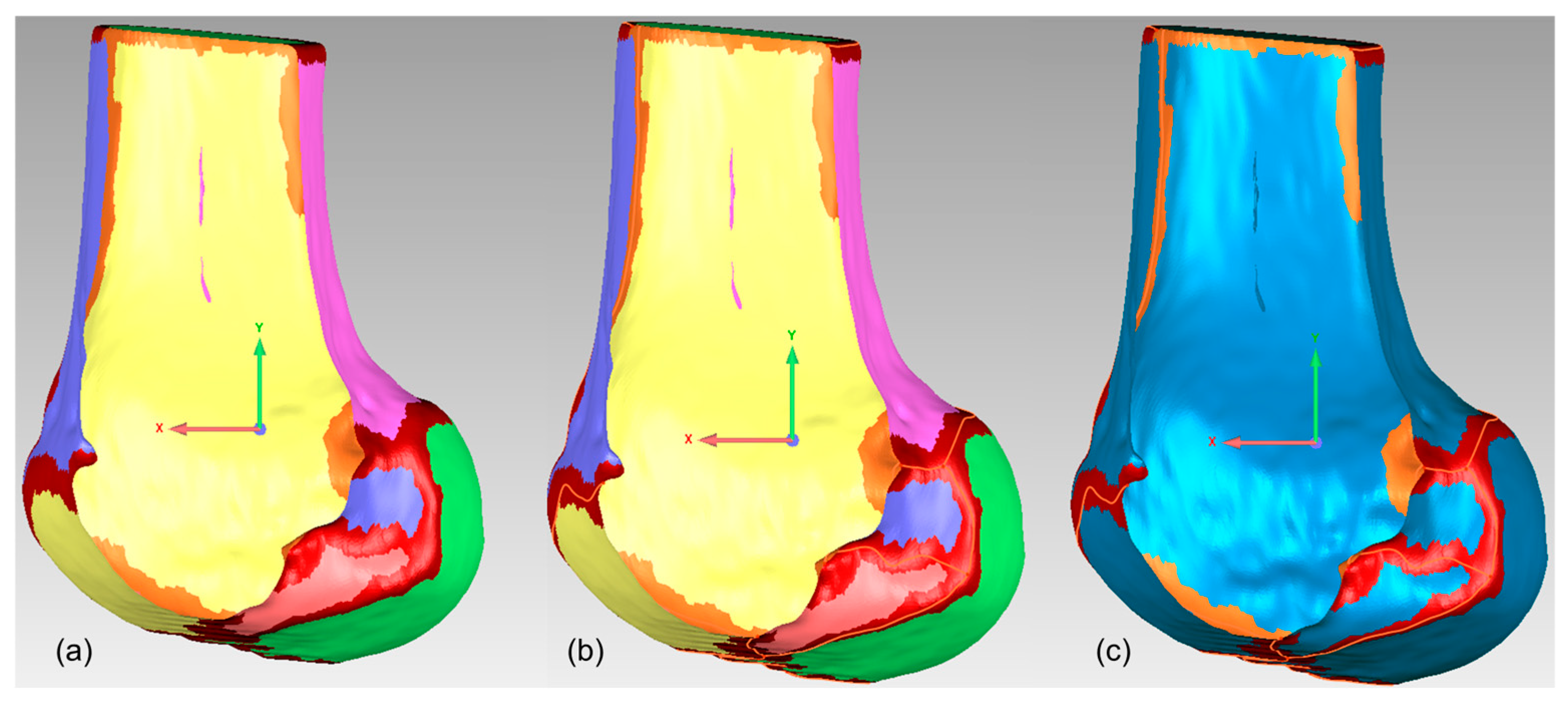 Bioengineering 12 00464 g009