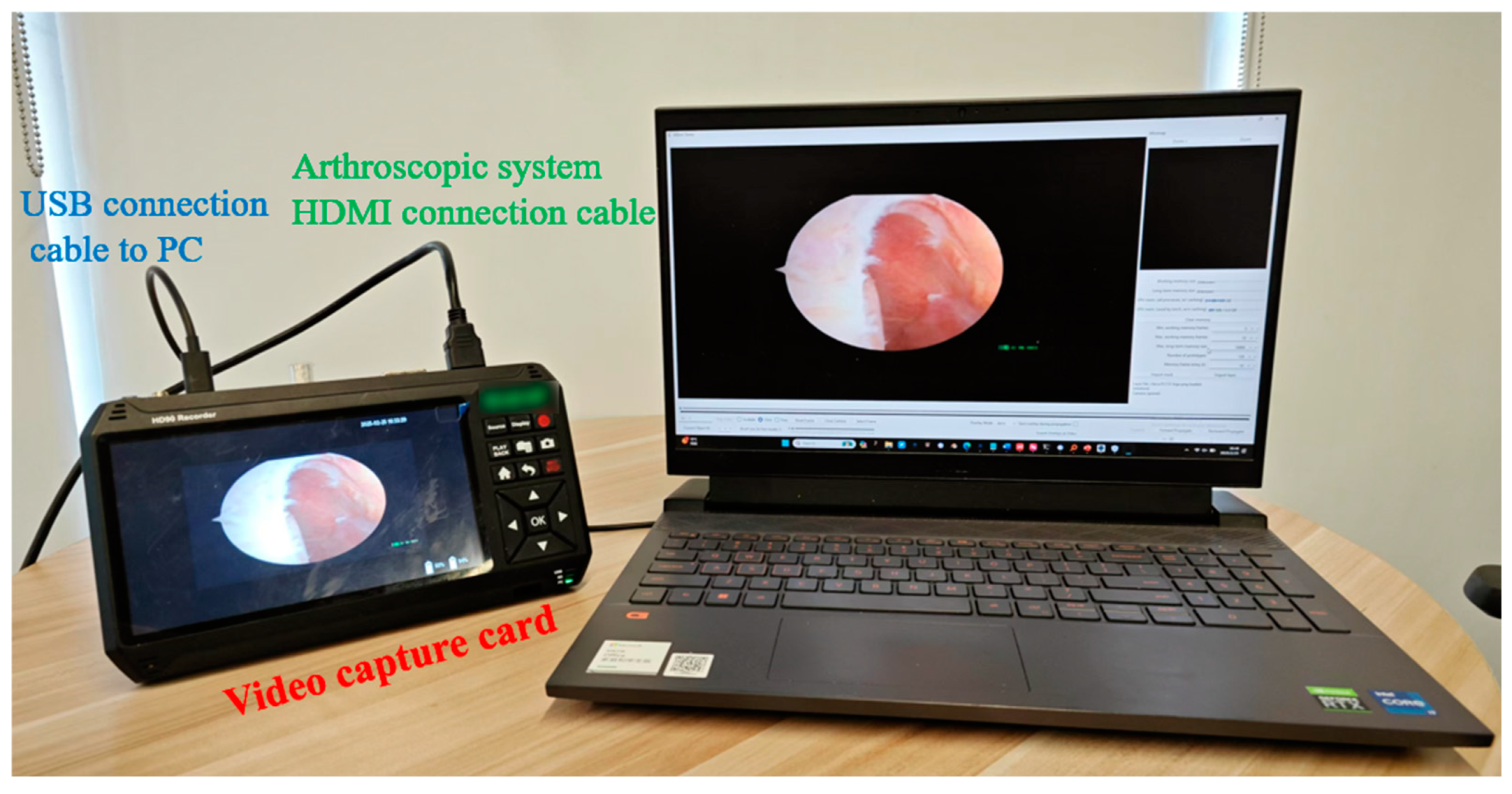Bioengineering 12 00464 g012