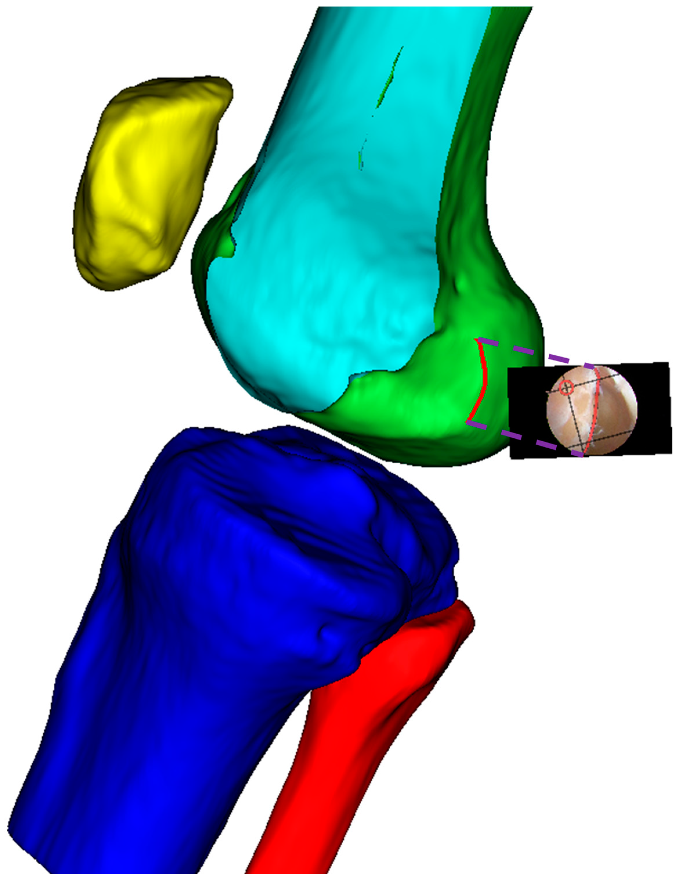 Bioengineering 12 00464 g013