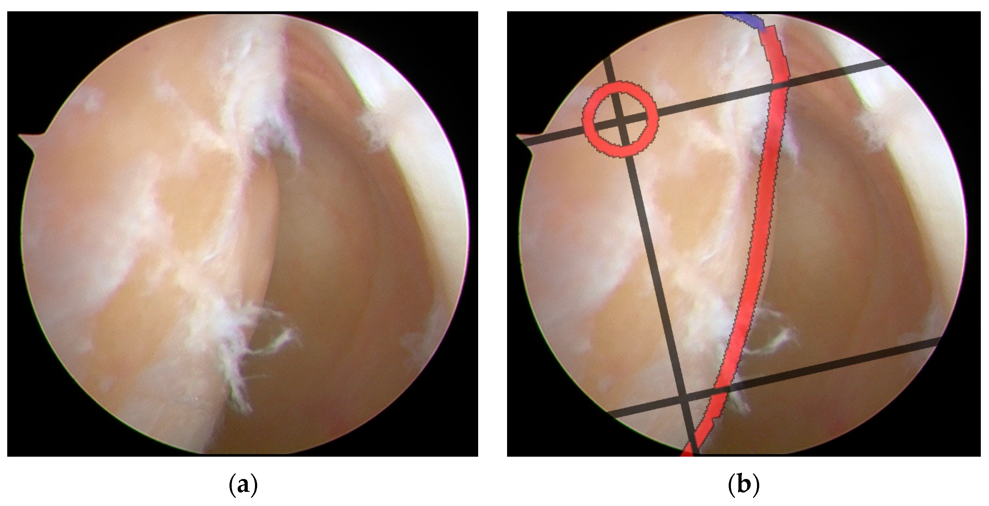 Bioengineering 12 00464 g014
