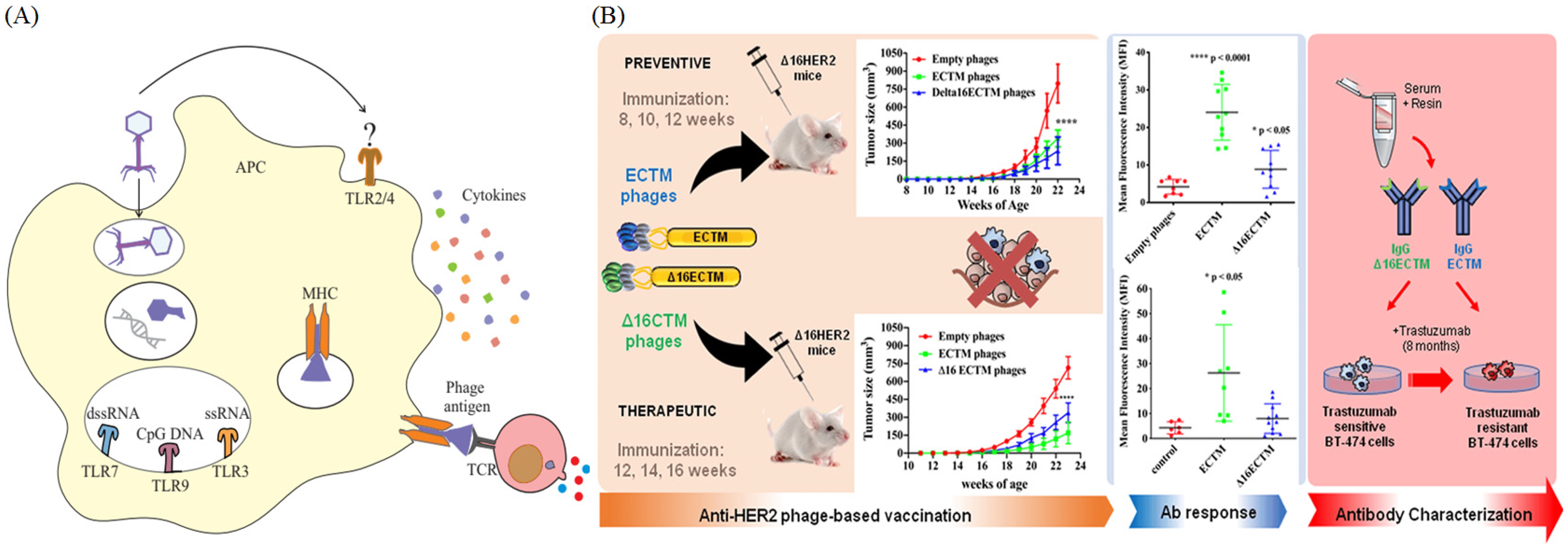 Bioengineering 12 00469 g006
