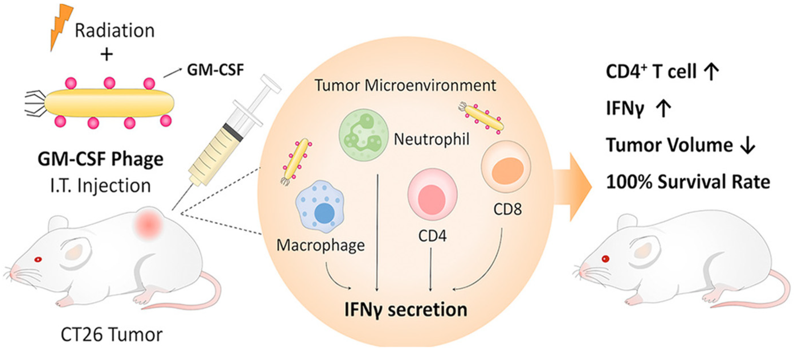 Bioengineering 12 00469 g007