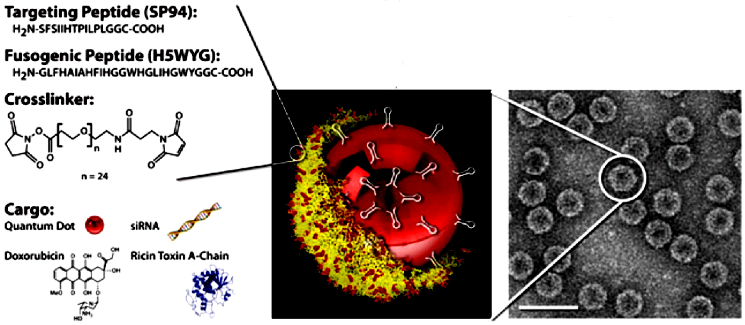 Bioengineering 12 00469 g009