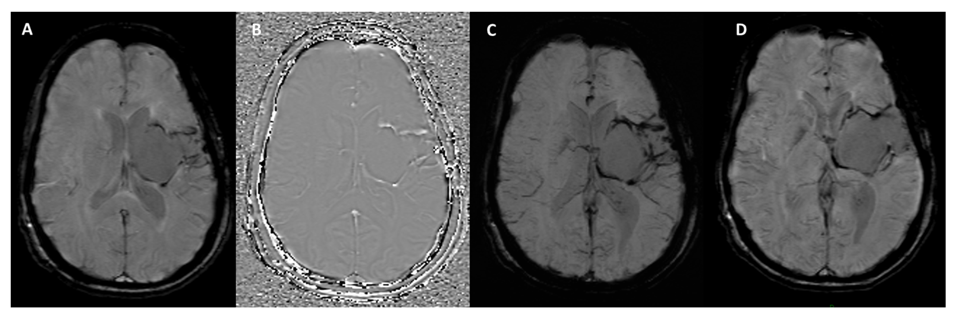 Bioengineering 12 00473 g003