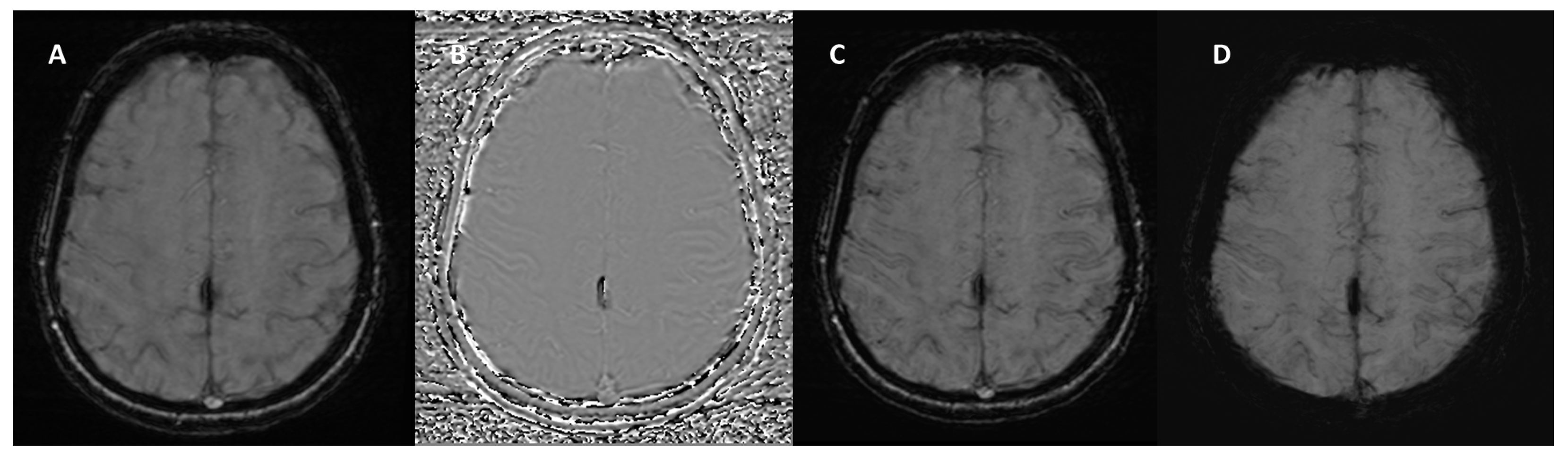 Bioengineering 12 00473 g004