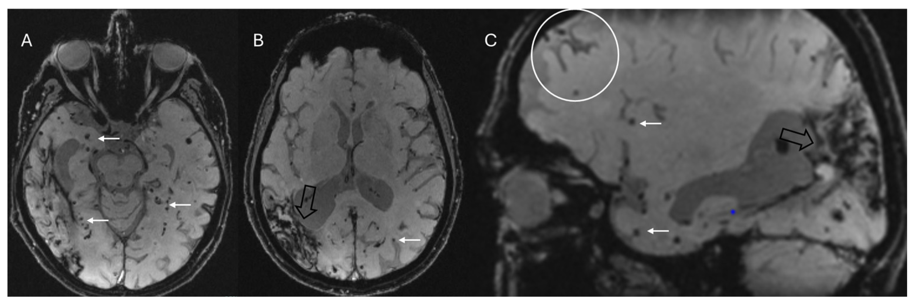 Bioengineering 12 00473 g008
