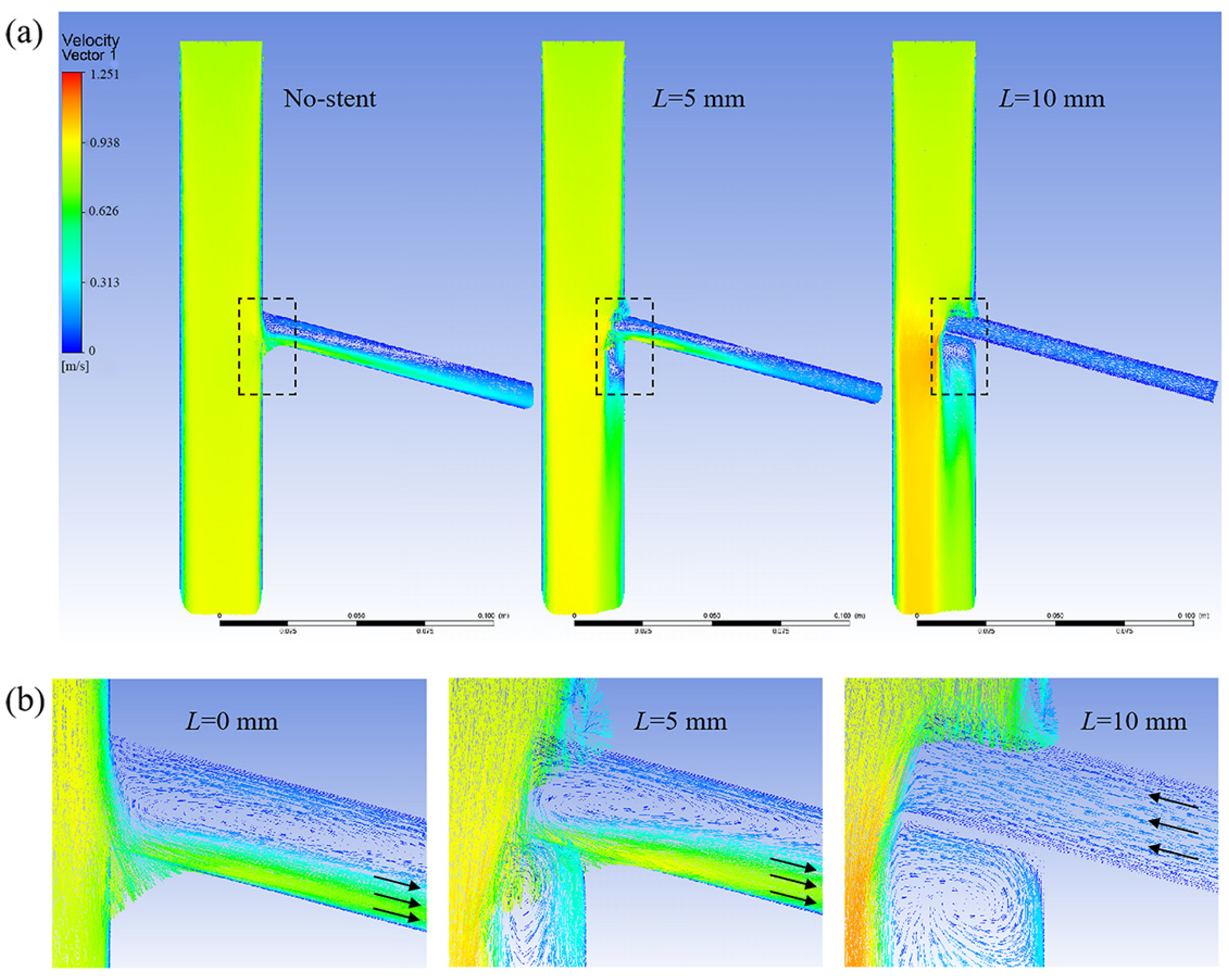 Bioengineering 12 00482 g006