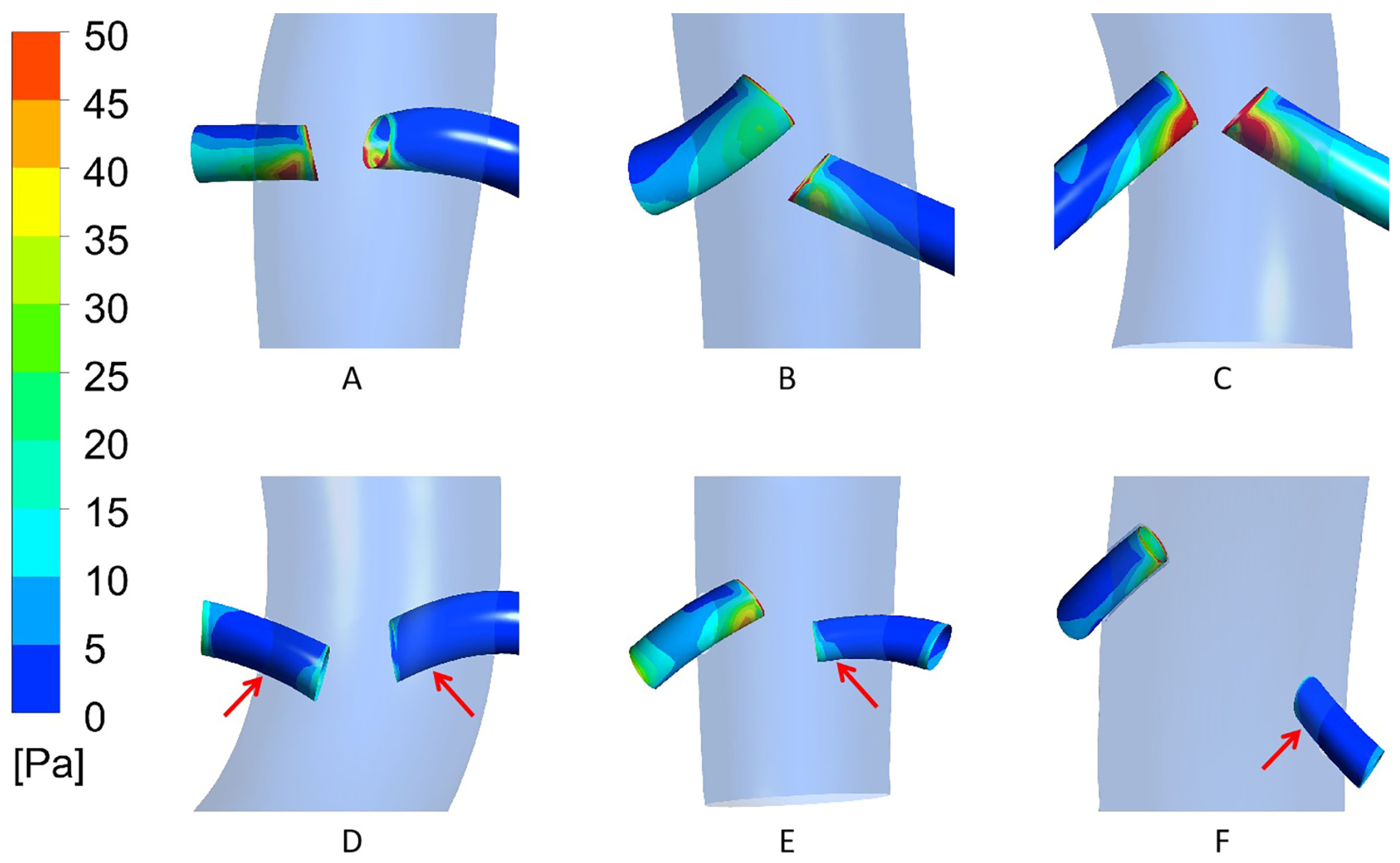 Bioengineering 12 00482 g012