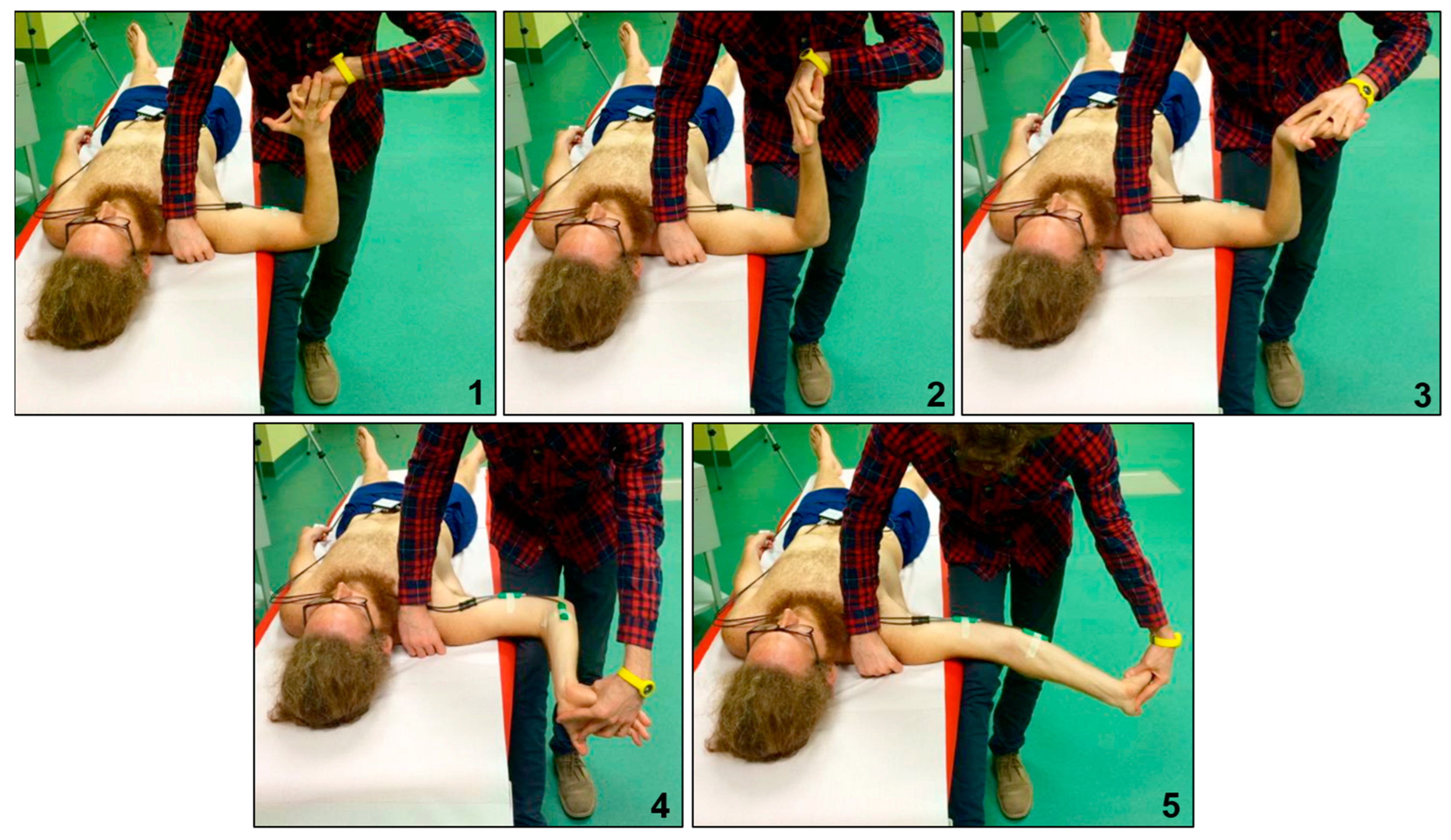 Bioengineering 12 00487 g002