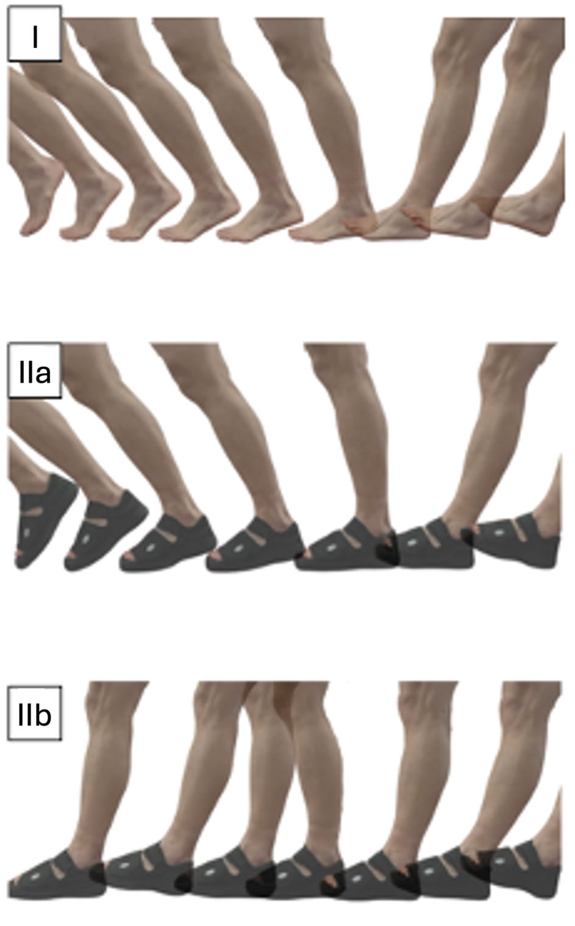 Bioengineering 12 00489 g002