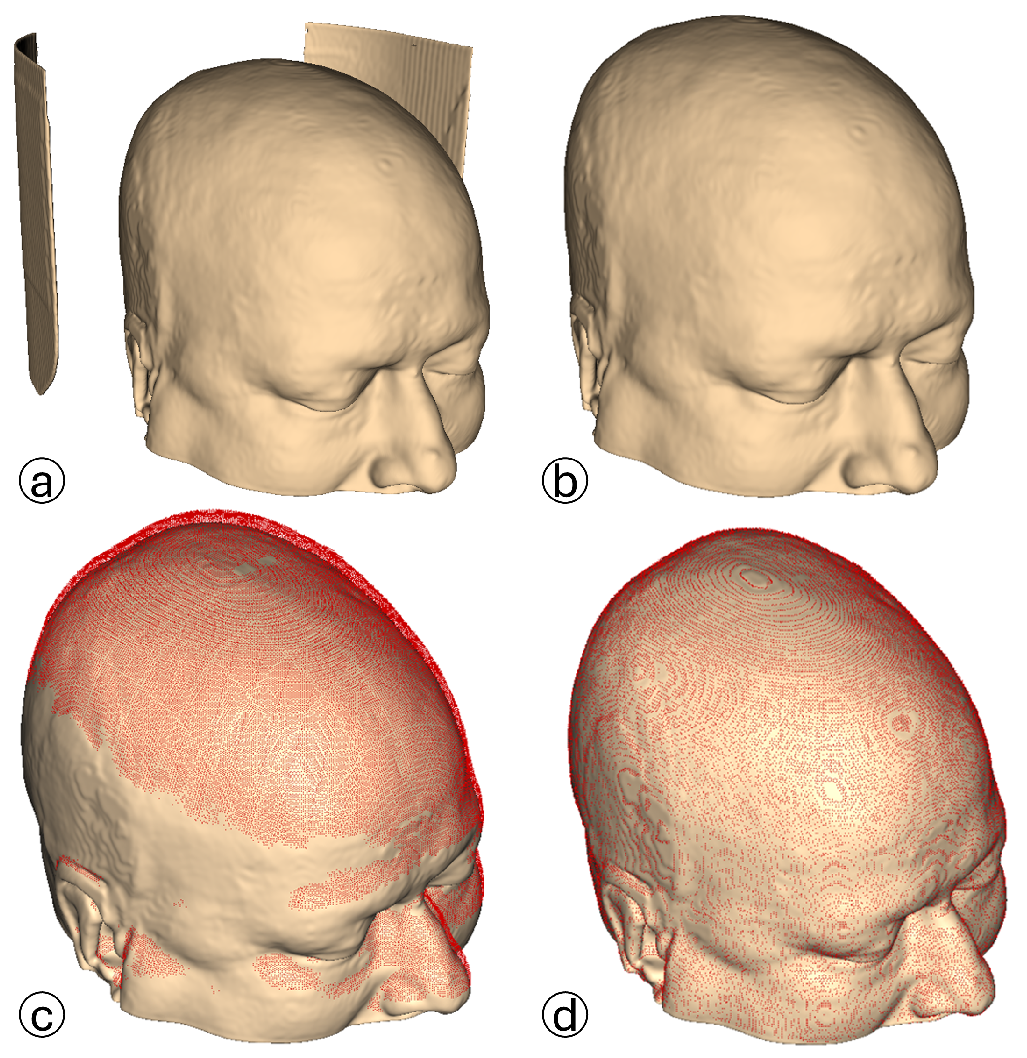 Bioengineering 12 00498 g003