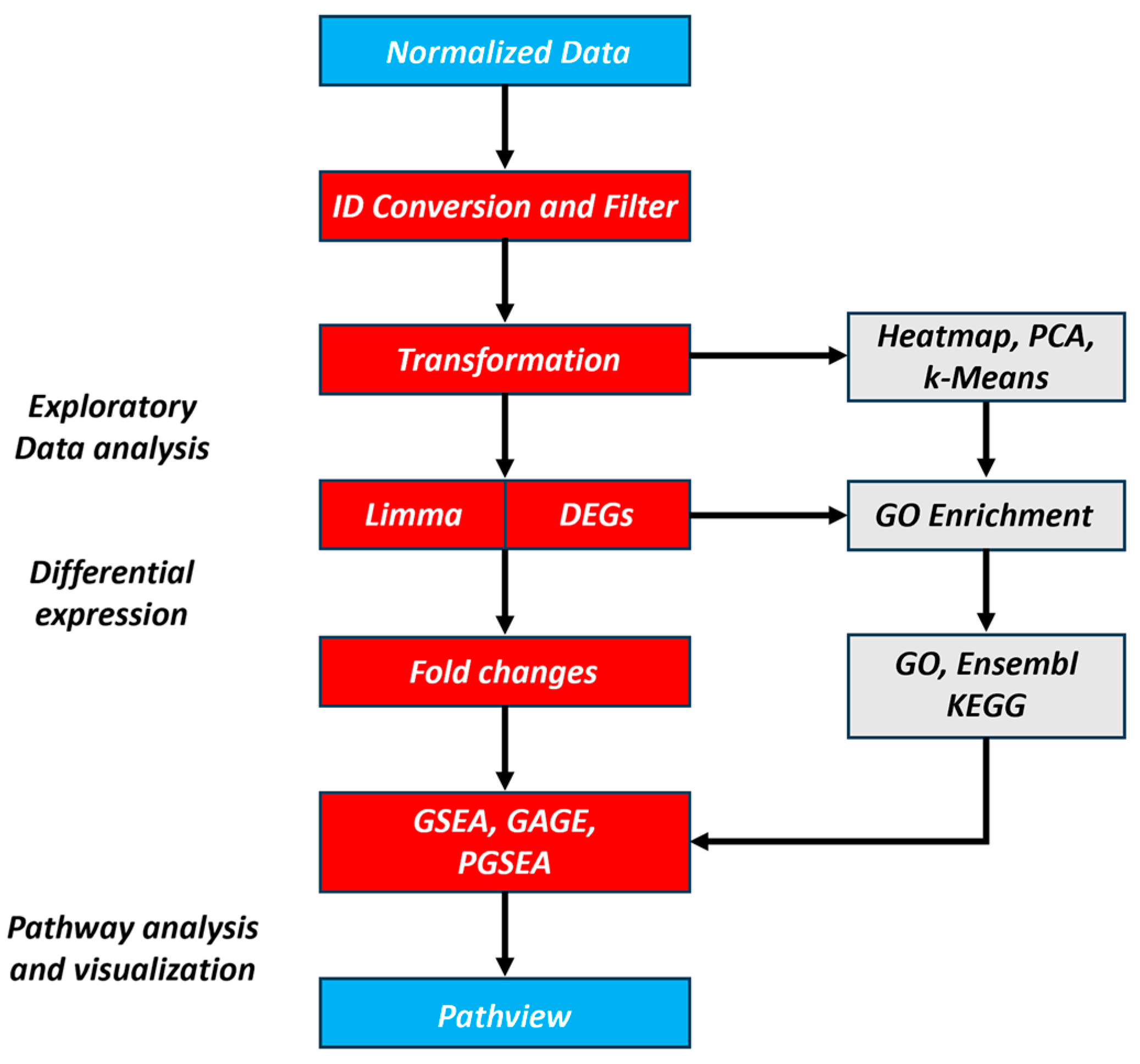 Bioengineering 12 00504 g001