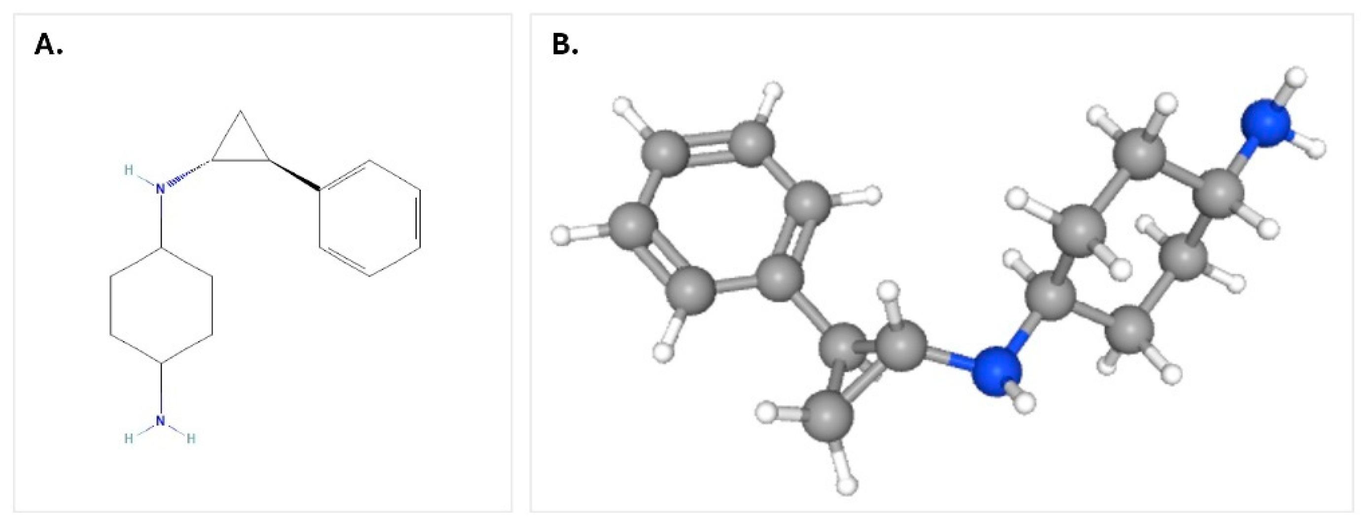 Bioengineering 12 00504 g004