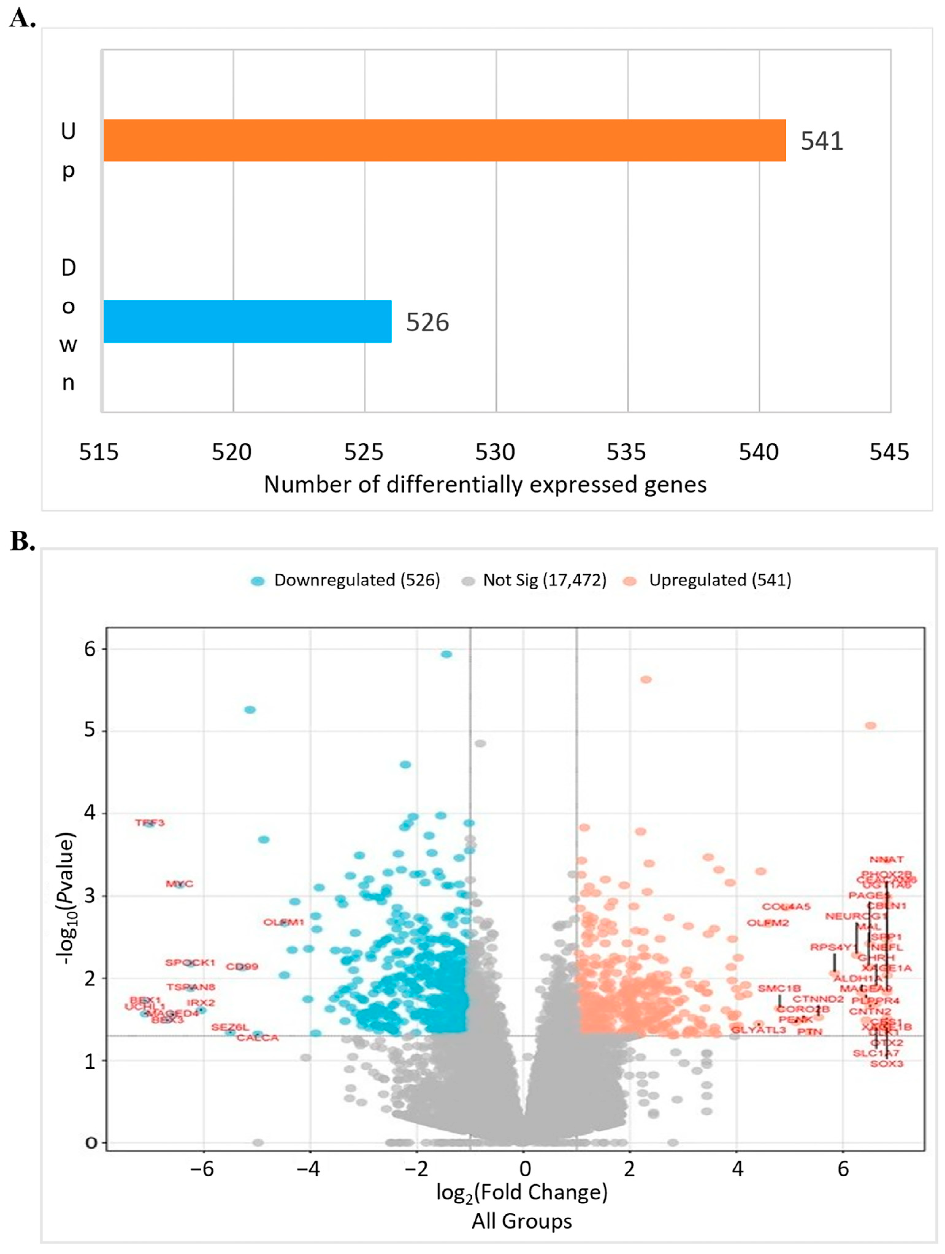 Bioengineering 12 00504 g006