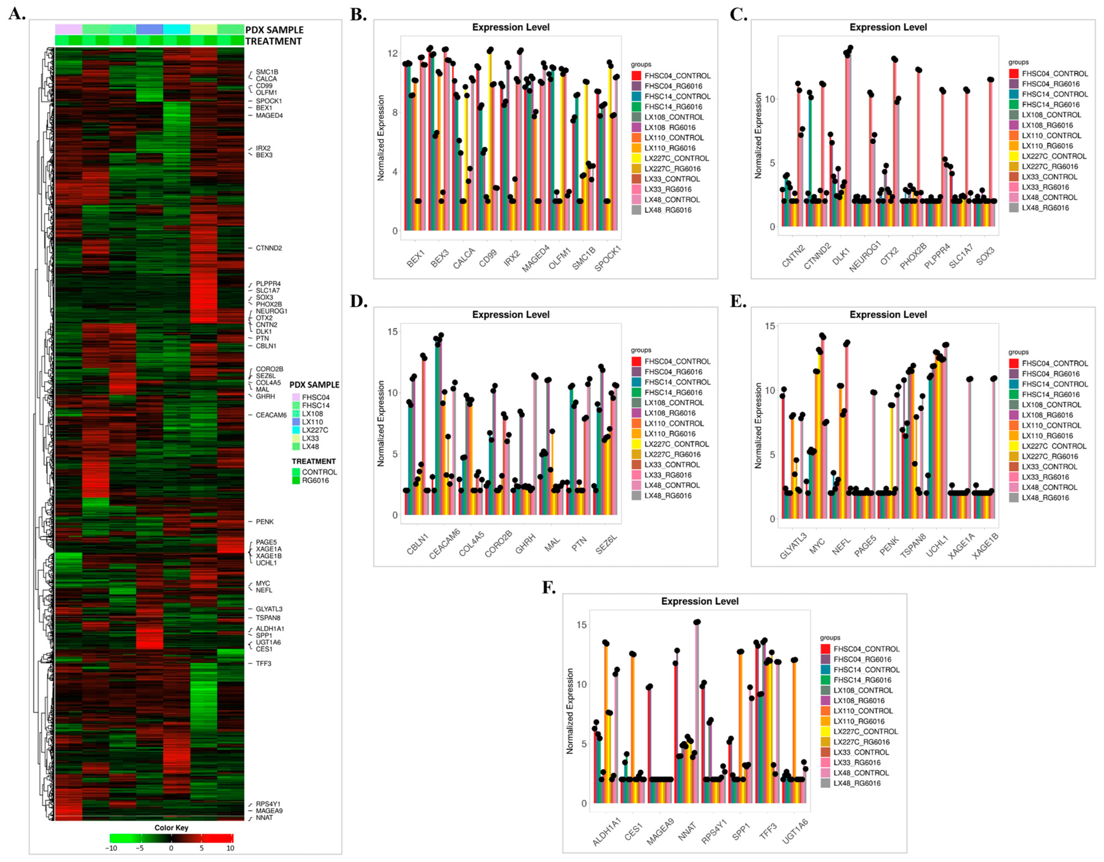 Bioengineering 12 00504 g007