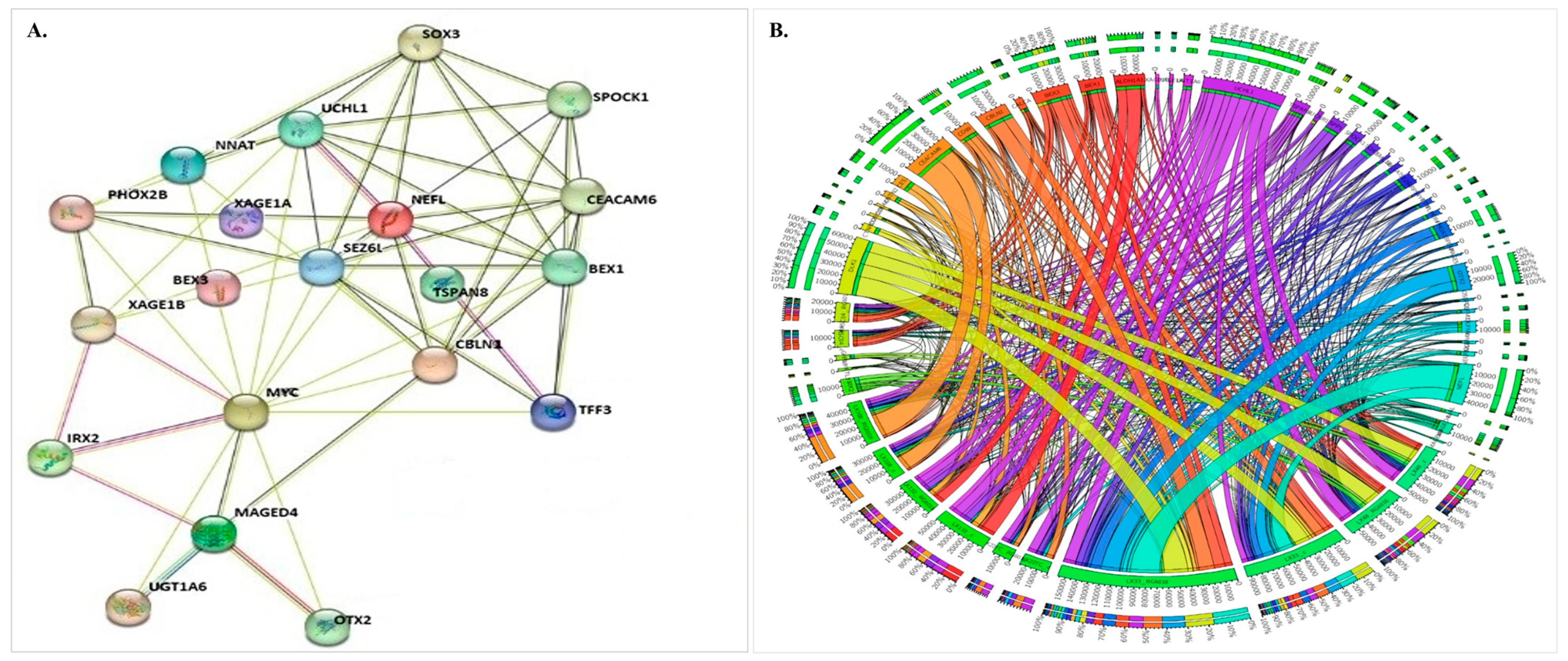 Bioengineering 12 00504 g009