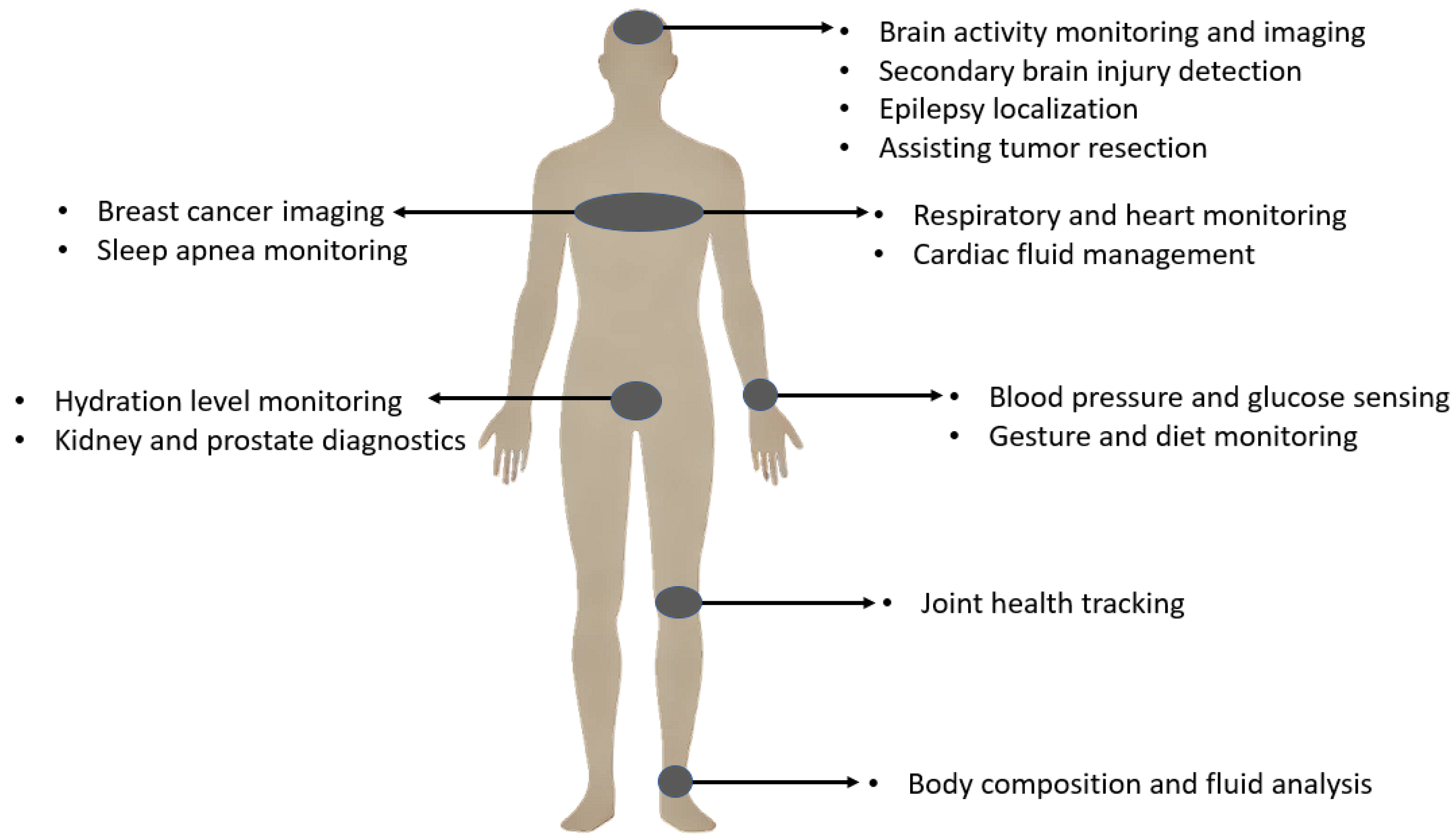 Bioengineering 12 00521 g001