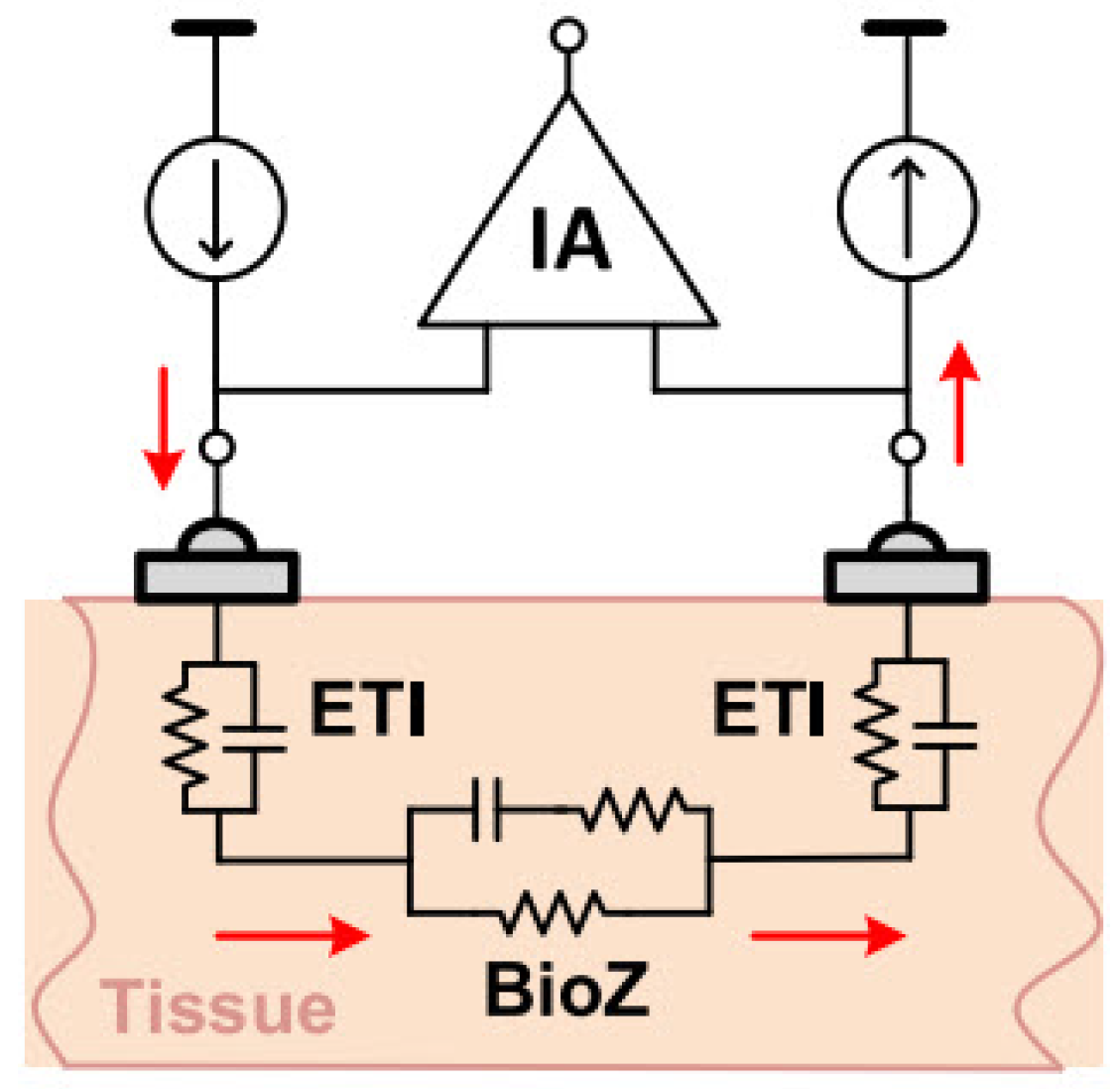 Bioengineering 12 00521 g010