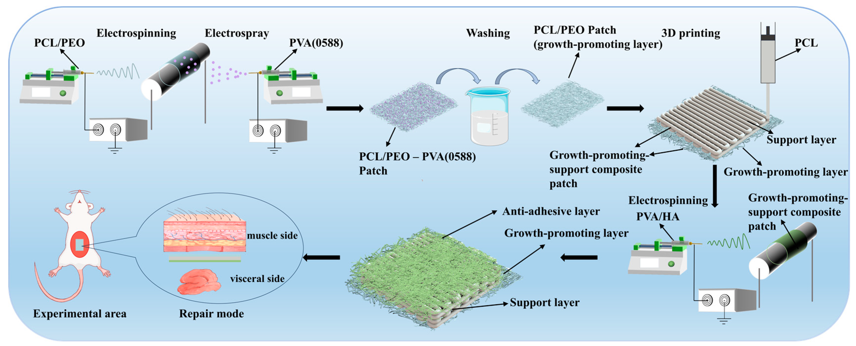 Bioengineering 12 00522 g001