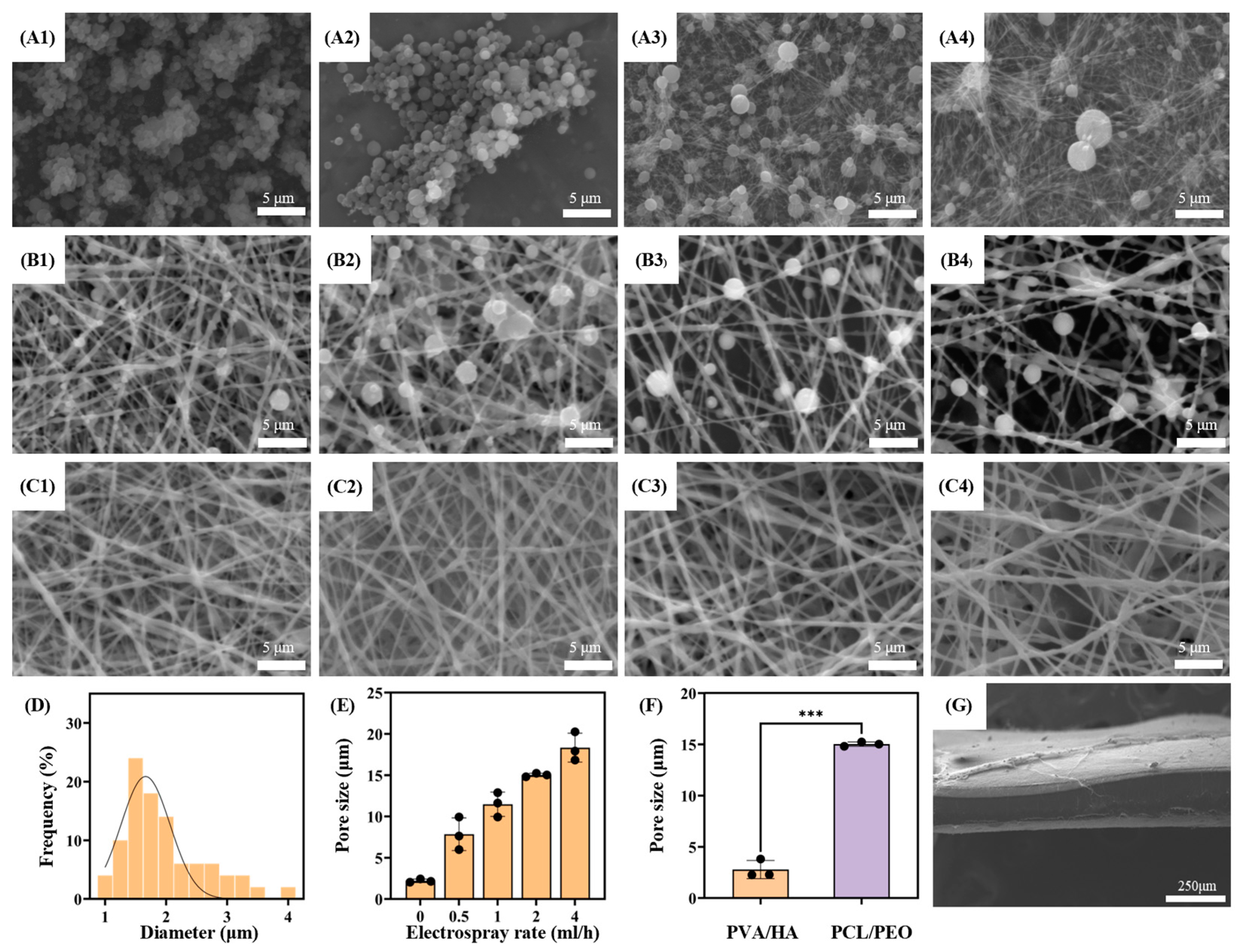 Bioengineering 12 00522 g003