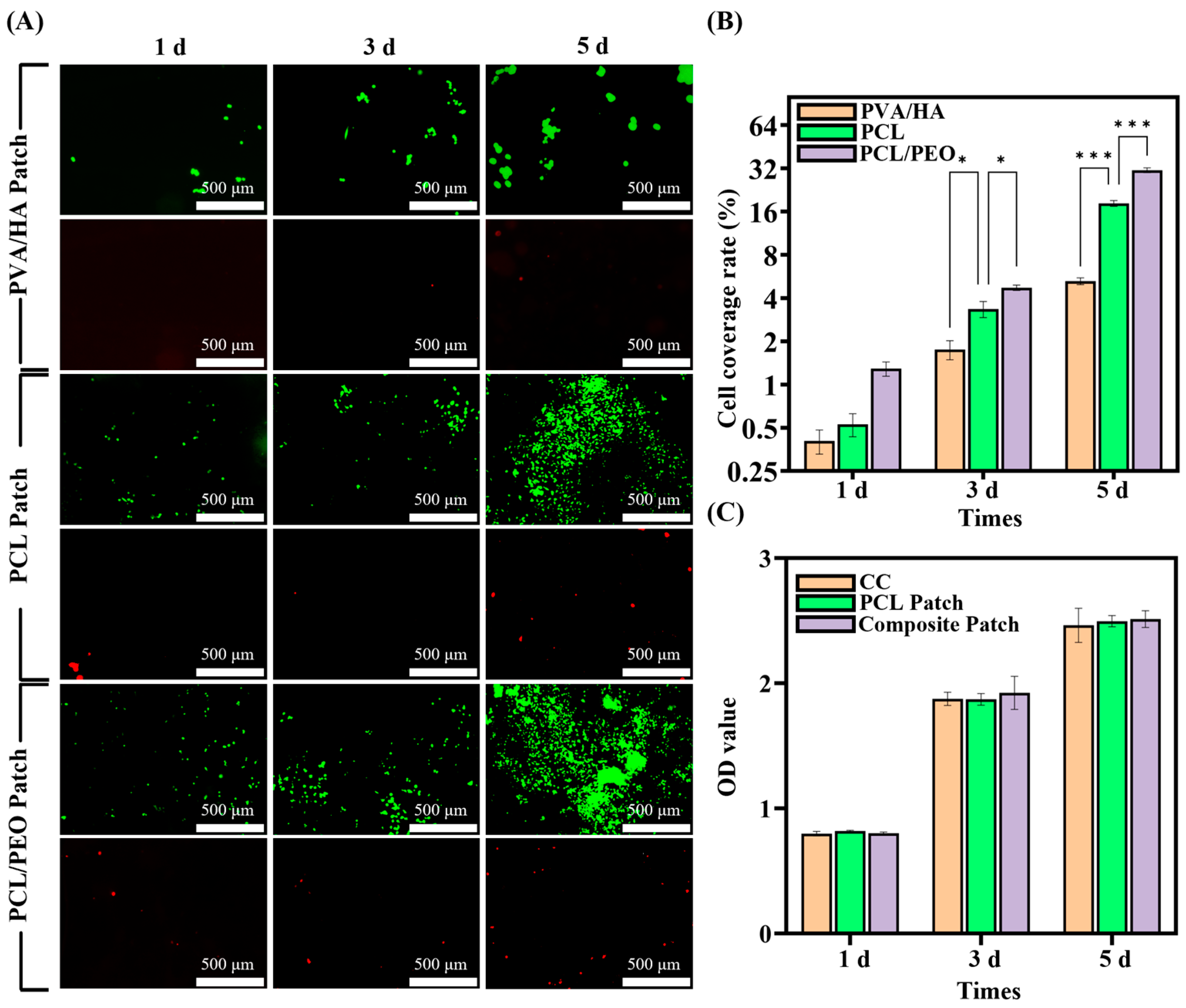 Bioengineering 12 00522 g005