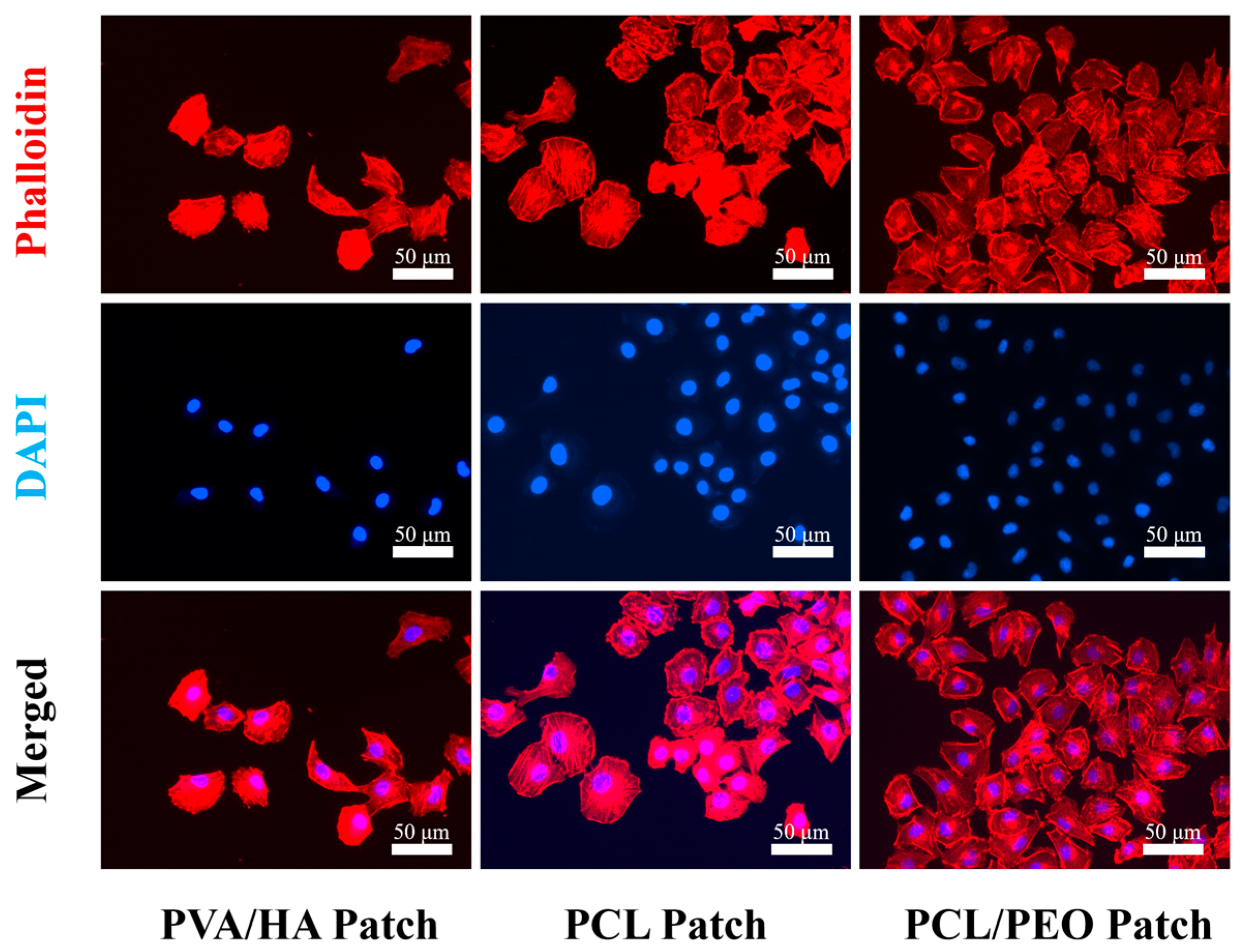 Bioengineering 12 00522 g006