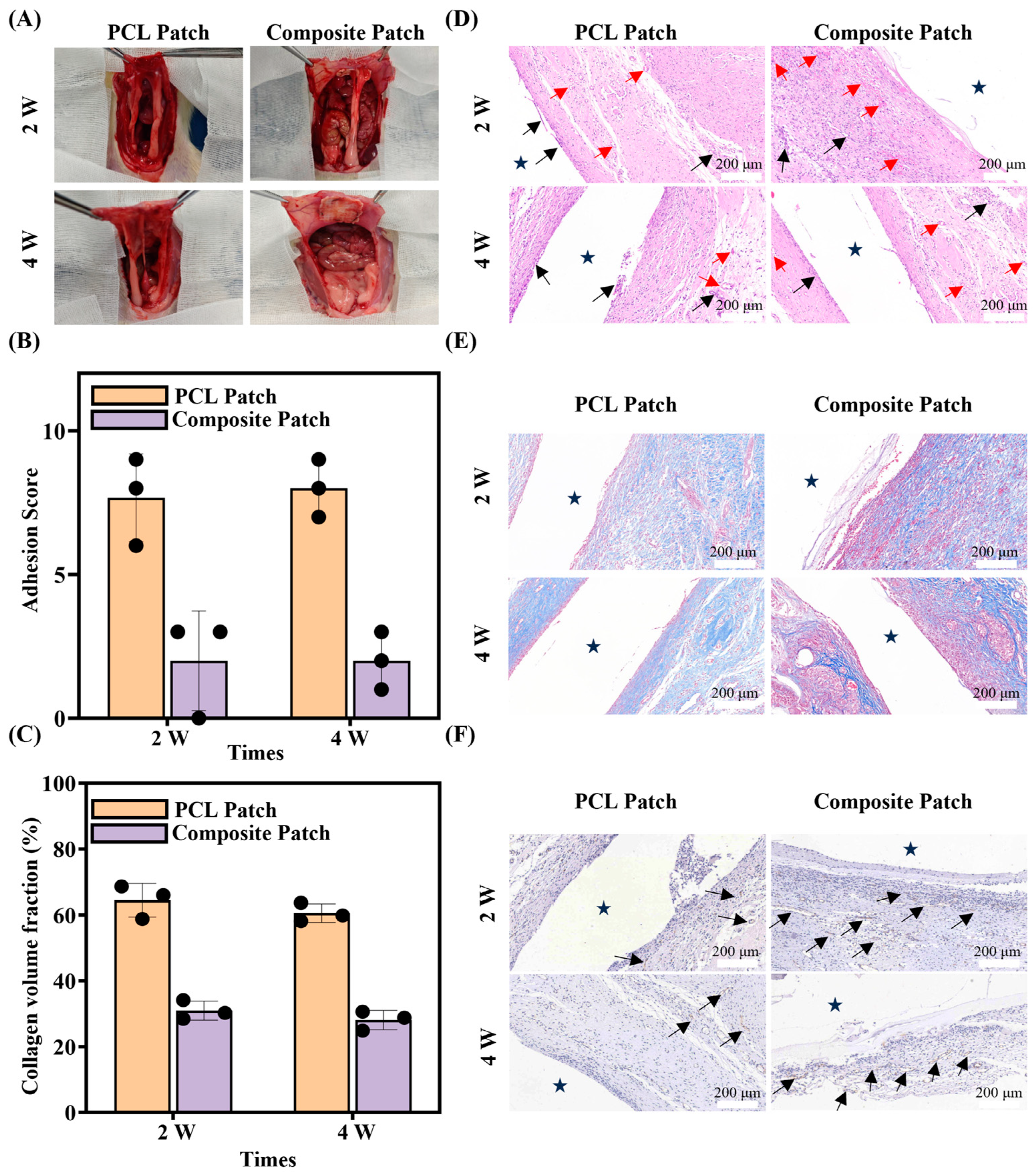 Bioengineering 12 00522 g007