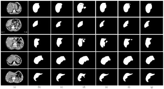 Bioengineering 12 00530 g0a1