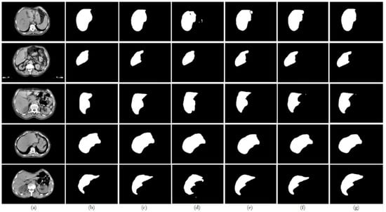 Bioengineering 12 00530 g0a2