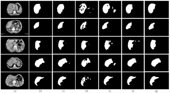 Bioengineering 12 00530 g0a3