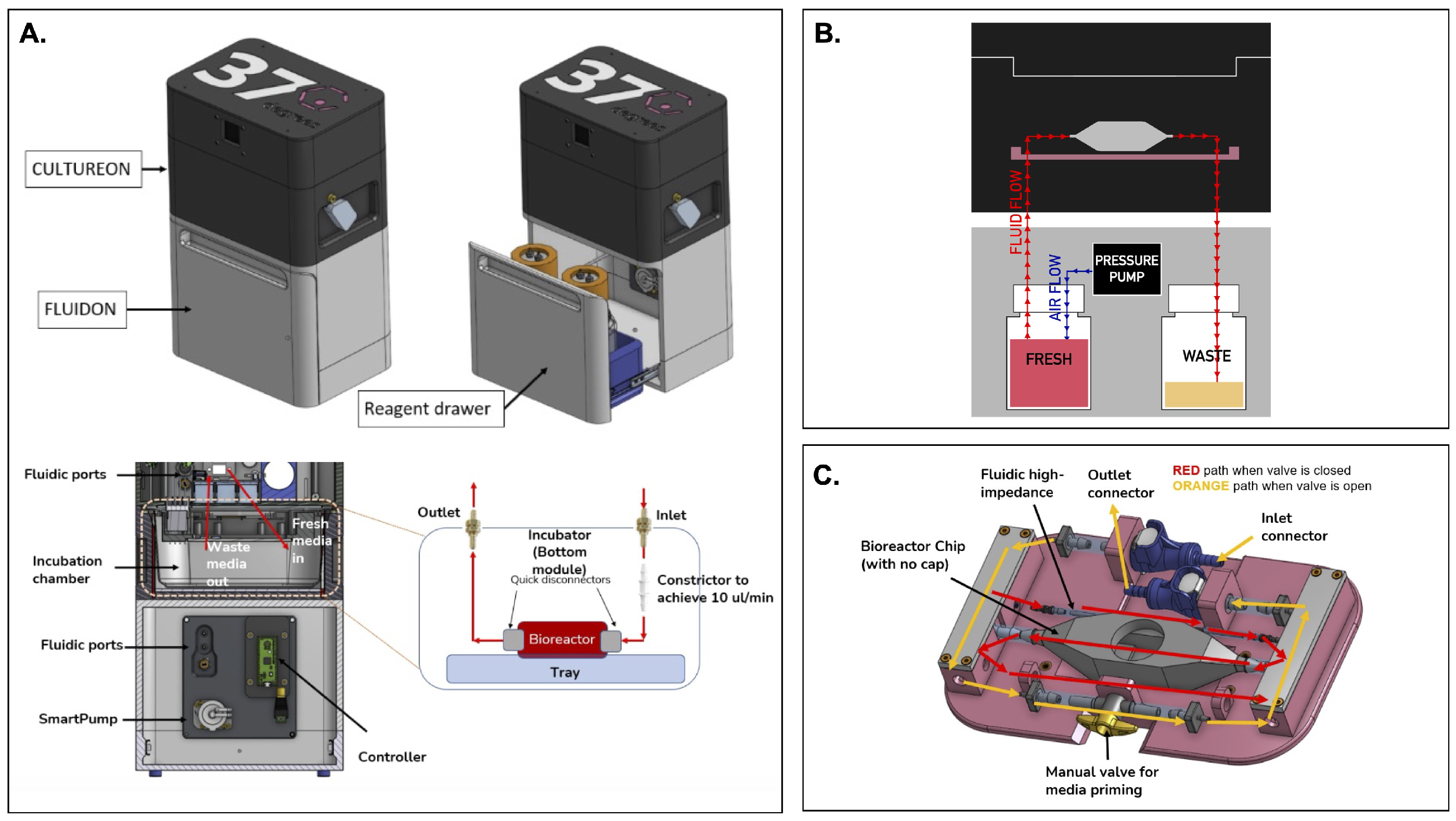 Bioengineering 12 00554 g001