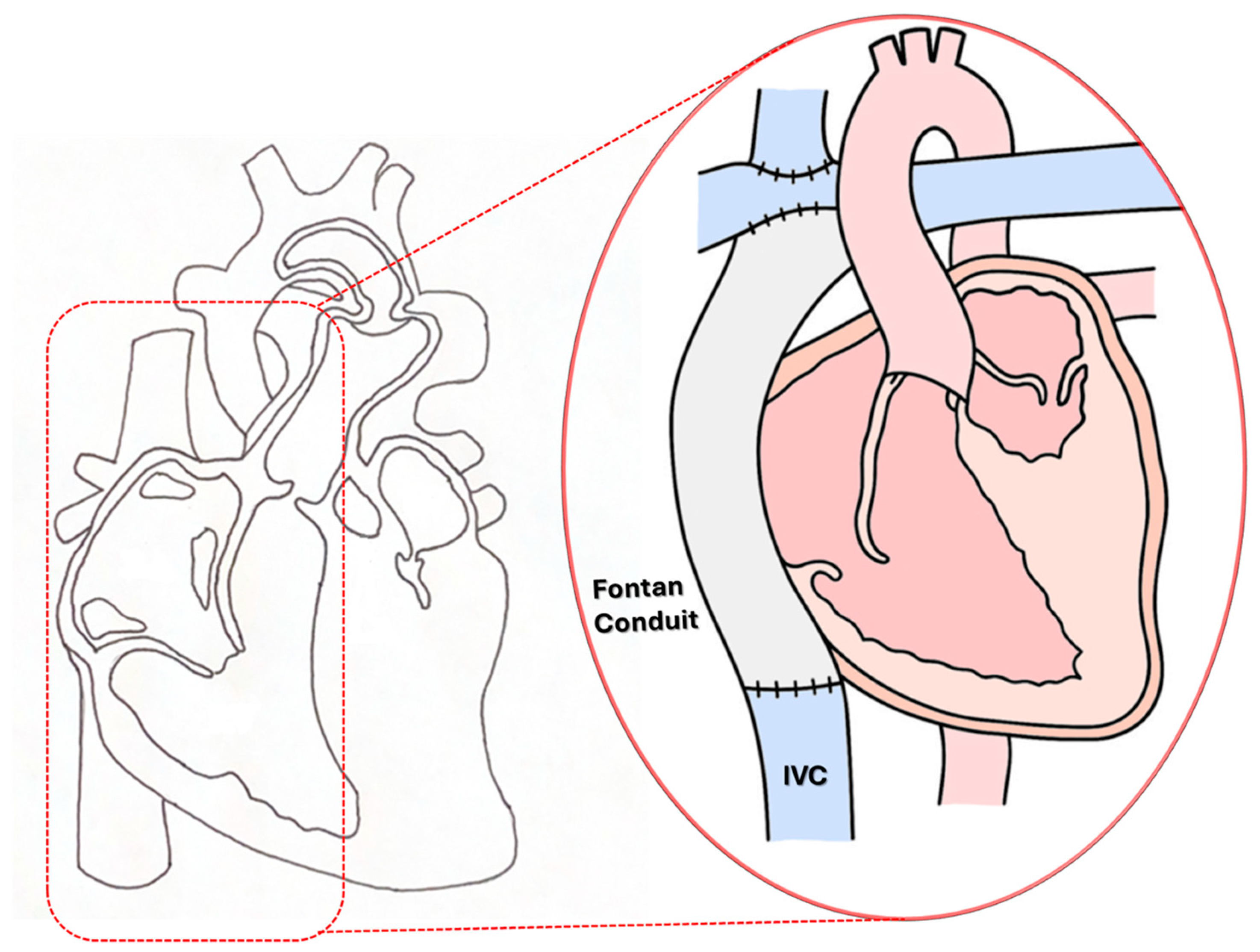 Bioengineering 12 00555 g001 Bioengineering 12 00555 g001