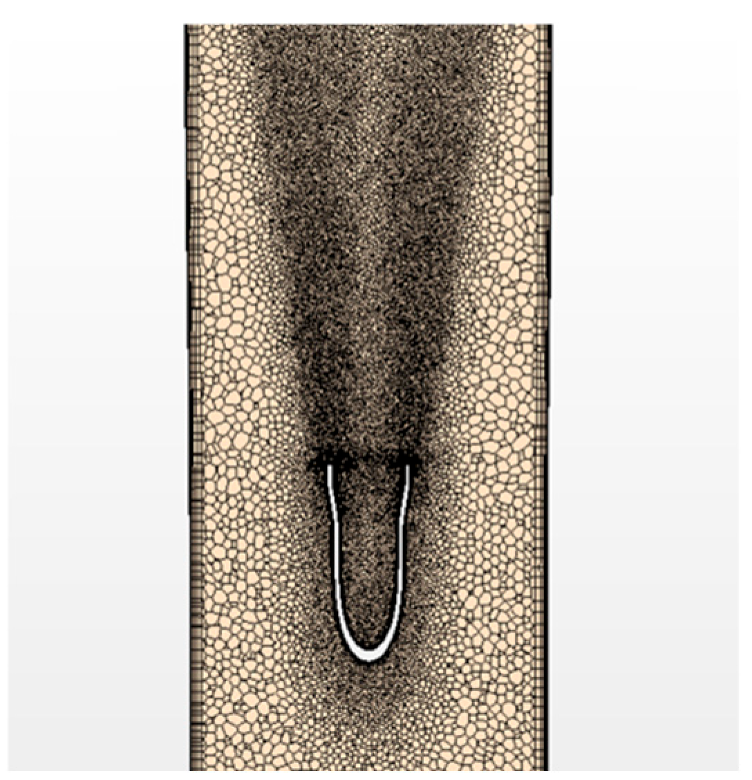 Bioengineering 12 00555 g003 Bioengineering 12 00555 g003
