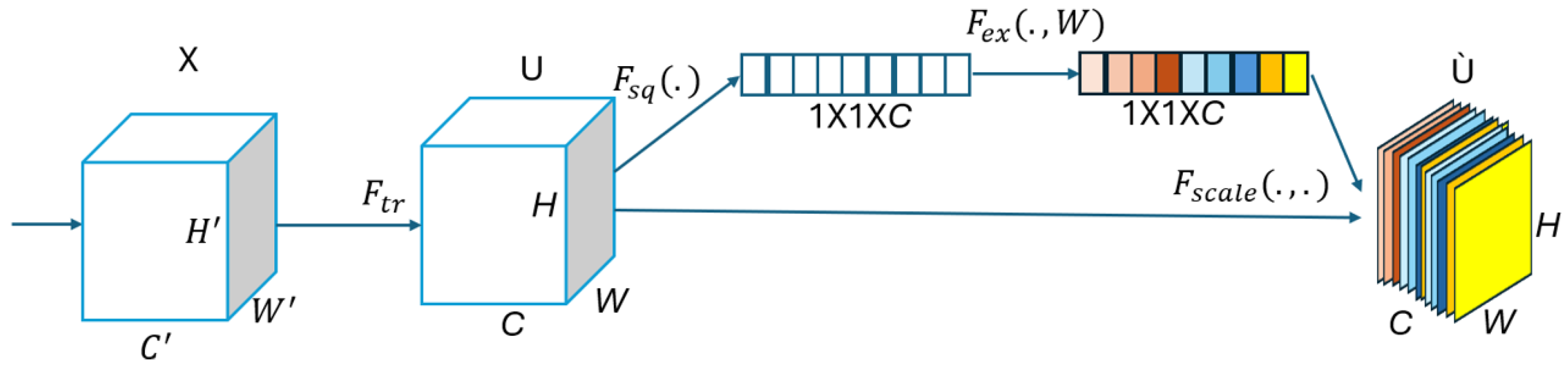 Bioengineering 12 00558 g003