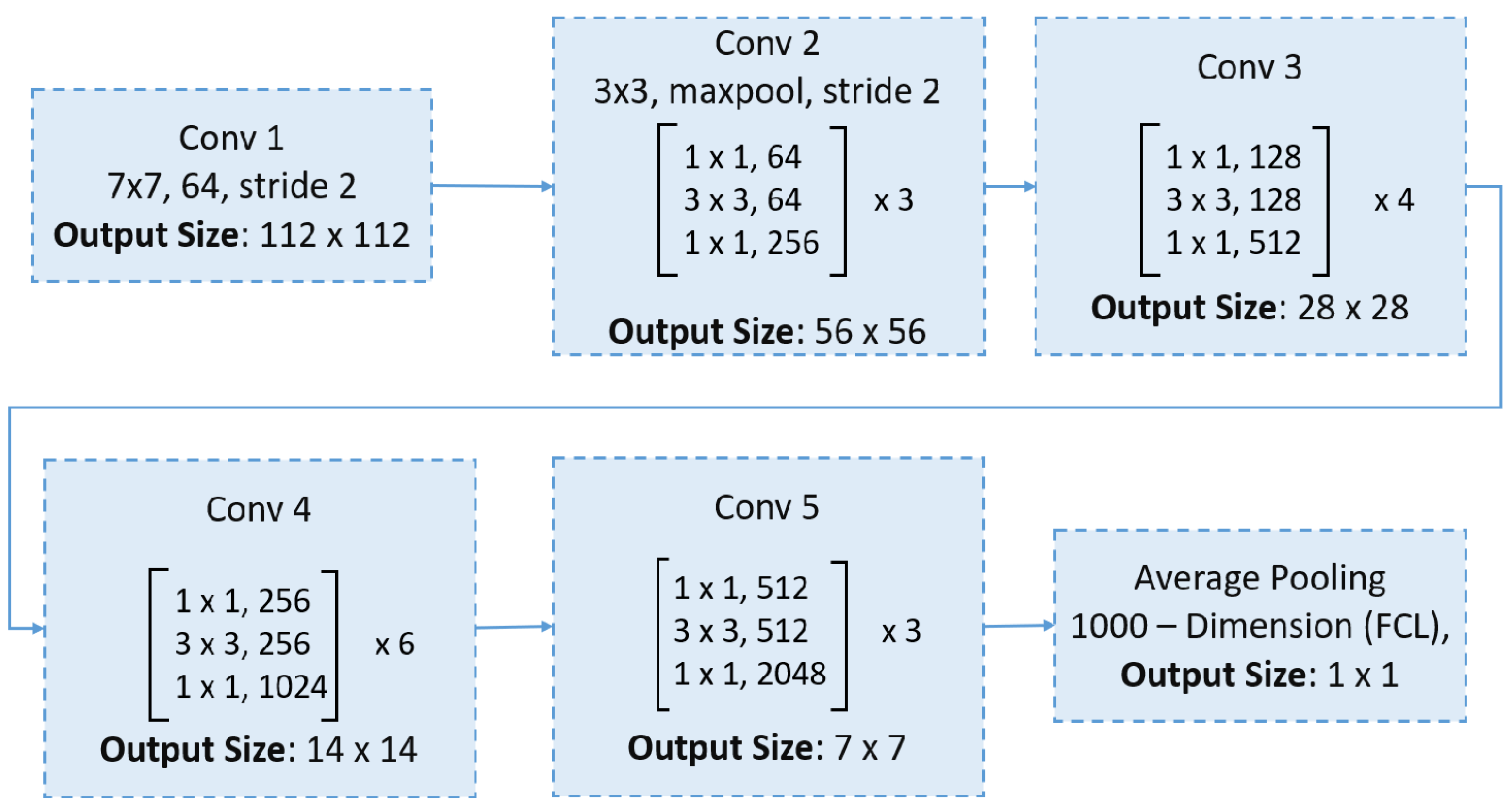 Bioengineering 12 00558 g004