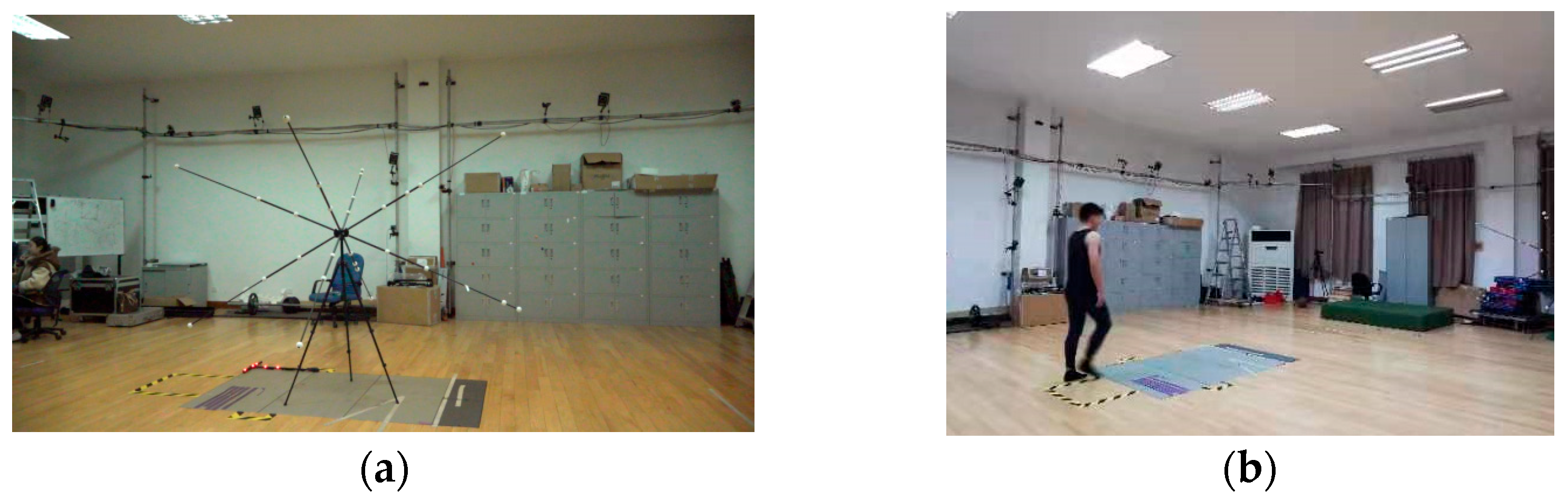 Bioengineering 12 00588 g002